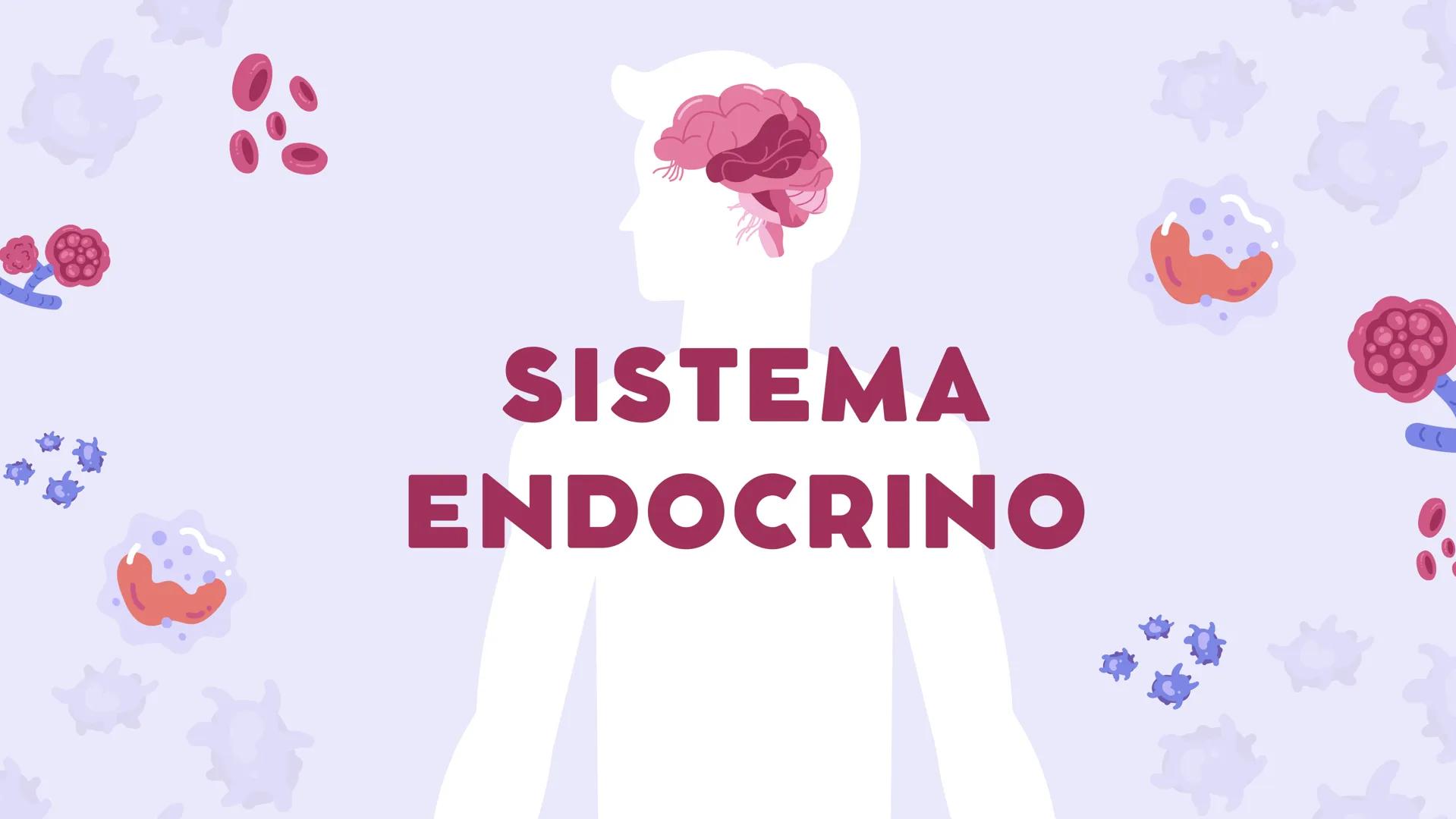 # SISTEMA
# ENDOCRINO ### CONTENIDO
01
Introducción
02
¿Qué es una
hormona?
03
¿Qué es una
glandula
04
Glándulas
05
Conclusión # I