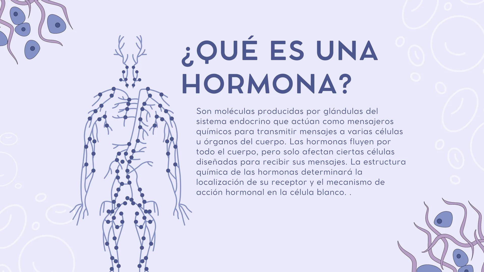 # SISTEMA
# ENDOCRINO ### CONTENIDO
01
Introducción
02
¿Qué es una
hormona?
03
¿Qué es una
glandula
04
Glándulas
05
Conclusión # I