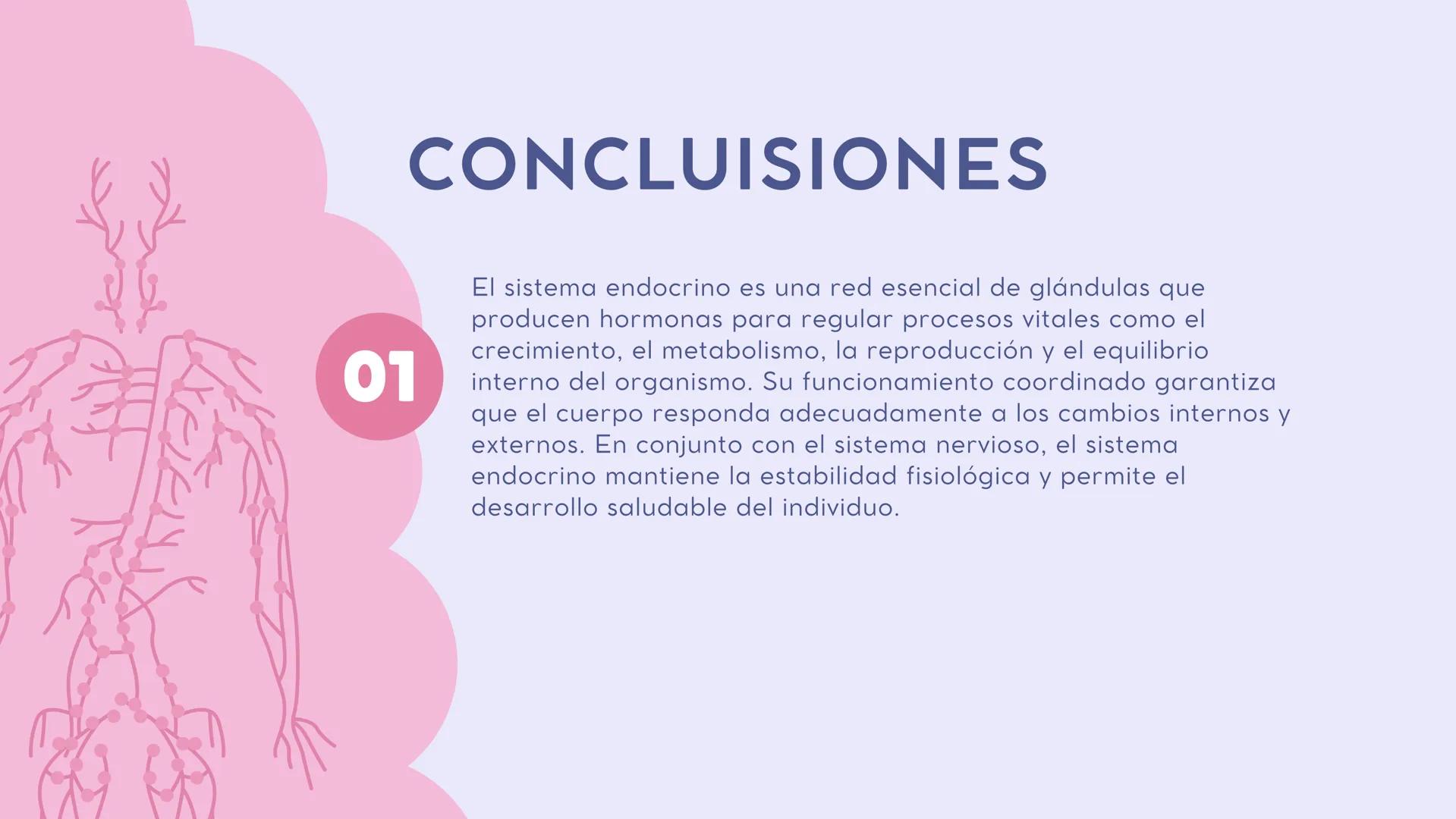 # SISTEMA
# ENDOCRINO ### CONTENIDO
01
Introducción
02
¿Qué es una
hormona?
03
¿Qué es una
glandula
04
Glándulas
05
Conclusión # I
