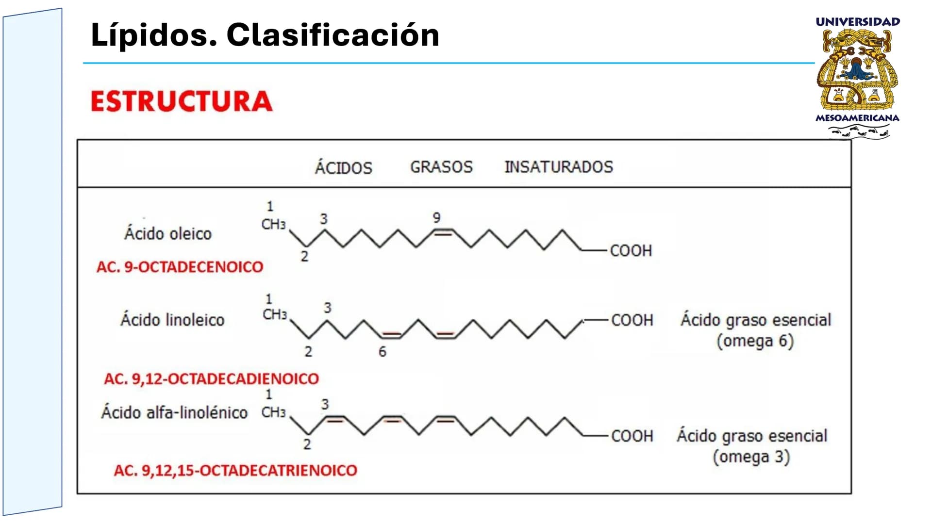 UNIVERSIDAD
MESOAMERICANA
UNIVERSIDAD
UNIVERSIDAD
MESOAMERICANA
Plantel Córdoba
Asignatura:
Bioquímica
Tema: Biomoléculas
Hidratos de carbon