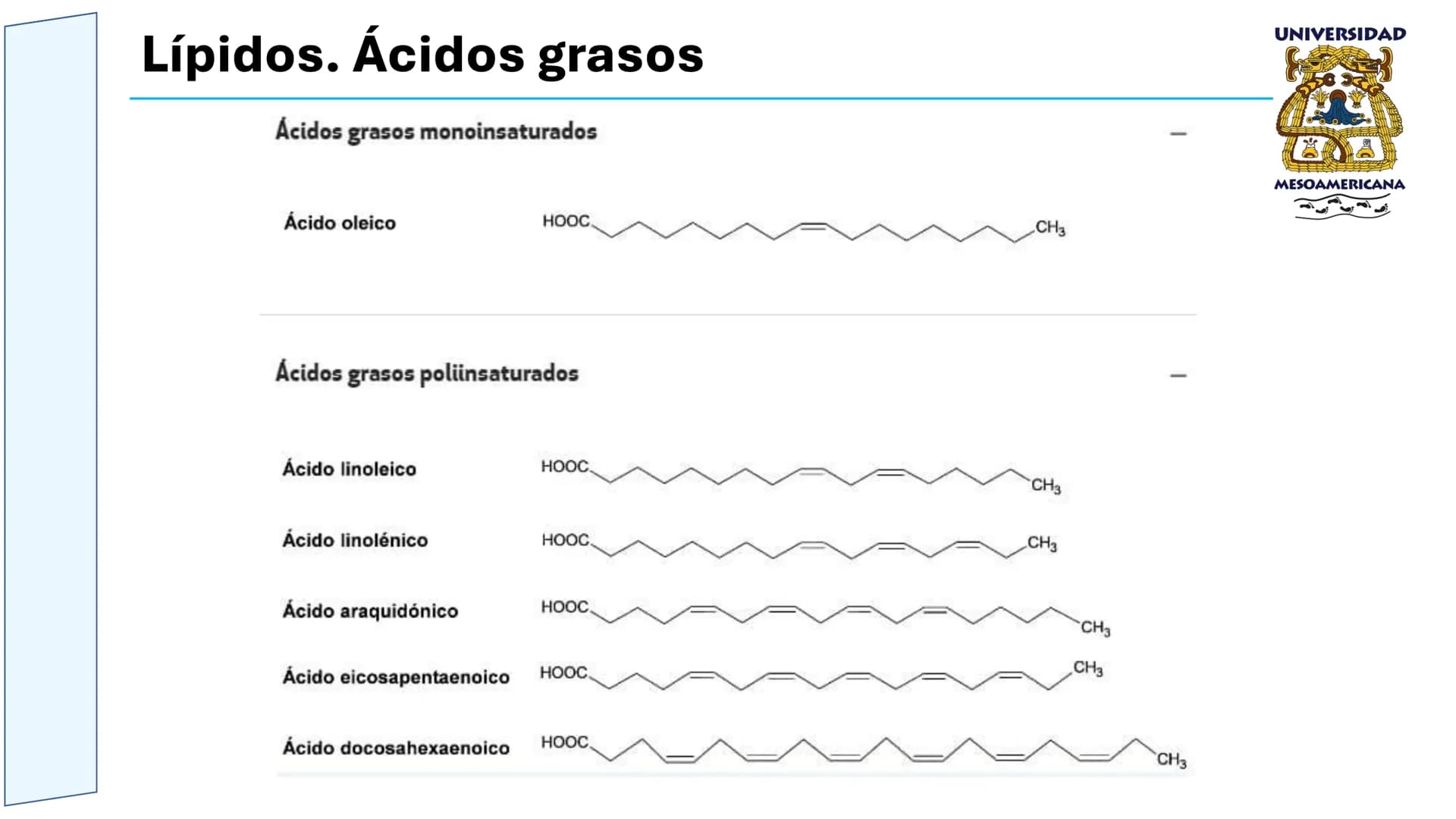 UNIVERSIDAD
MESOAMERICANA
UNIVERSIDAD
UNIVERSIDAD
MESOAMERICANA
Plantel Córdoba
Asignatura:
Bioquímica
Tema: Biomoléculas
Hidratos de carbon