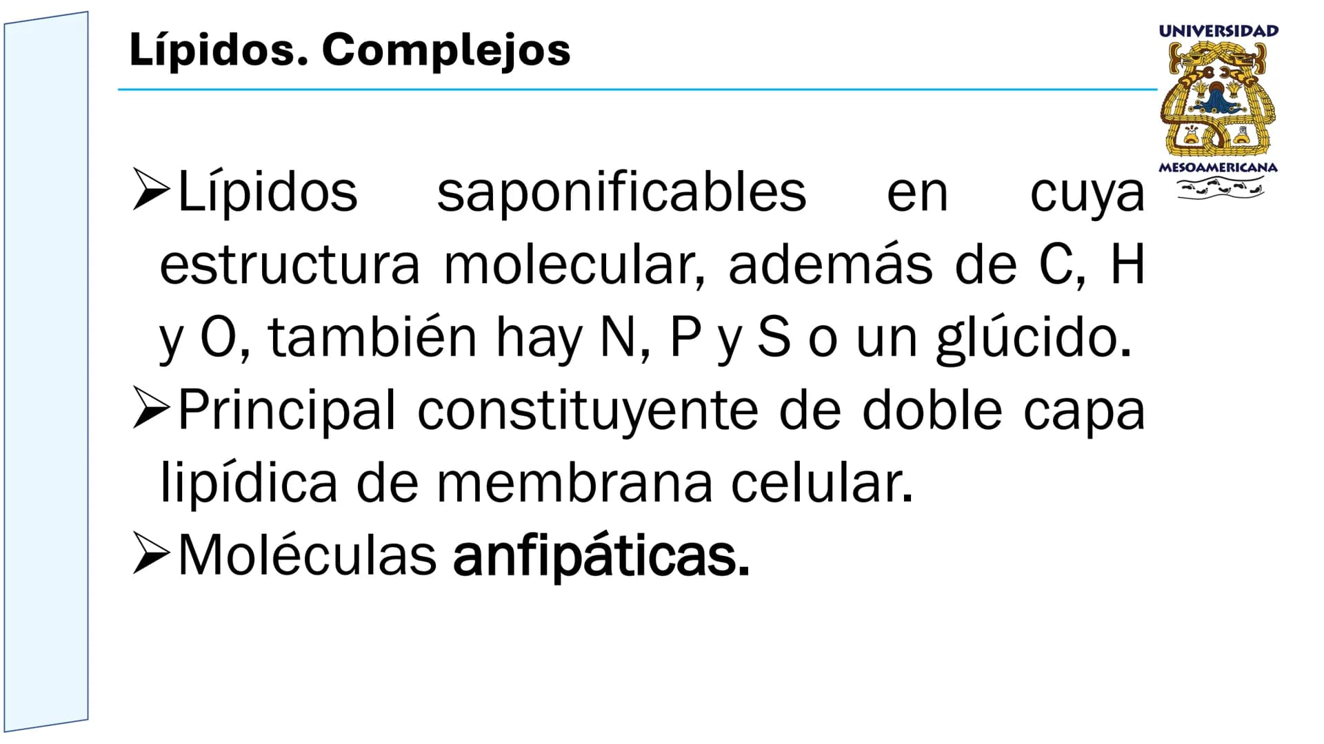 UNIVERSIDAD
MESOAMERICANA
UNIVERSIDAD
UNIVERSIDAD
MESOAMERICANA
Plantel Córdoba
Asignatura:
Bioquímica
Tema: Biomoléculas
Hidratos de carbon