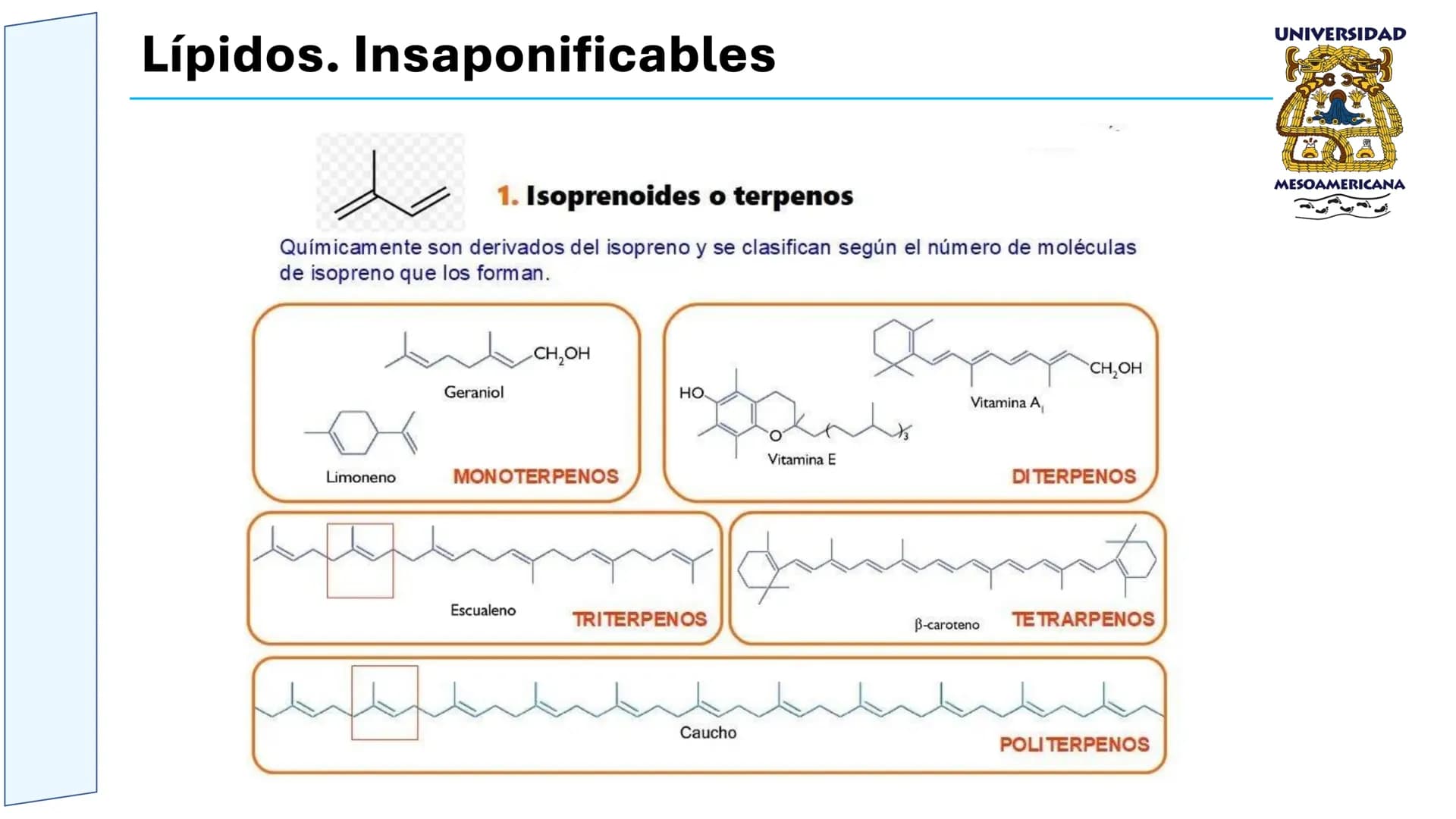 UNIVERSIDAD
MESOAMERICANA
UNIVERSIDAD
UNIVERSIDAD
MESOAMERICANA
Plantel Córdoba
Asignatura:
Bioquímica
Tema: Biomoléculas
Hidratos de carbon
