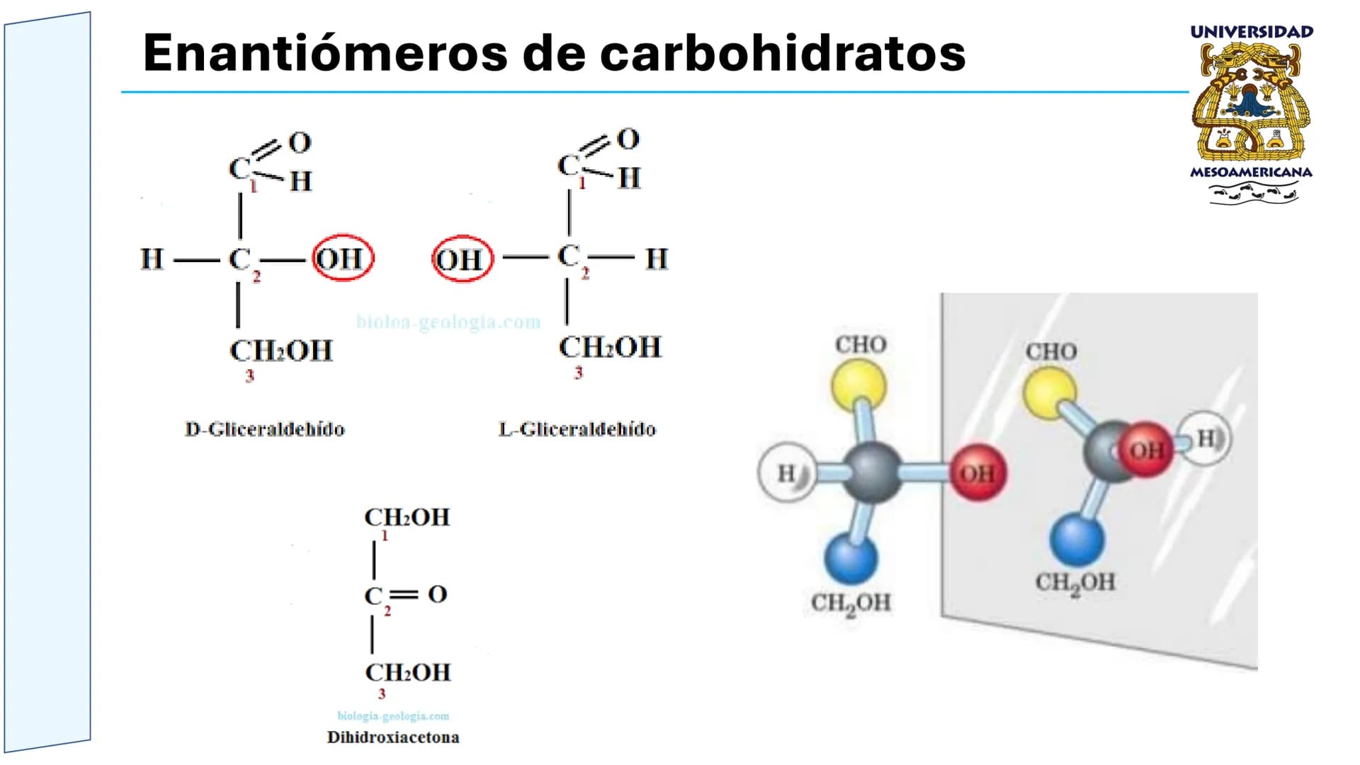 UNIVERSIDAD
MESOAMERICANA
UNIVERSIDAD
UNIVERSIDAD
MESOAMERICANA
Plantel Córdoba
Asignatura:
Bioquímica
Tema: Biomoléculas
Hidratos de carbon