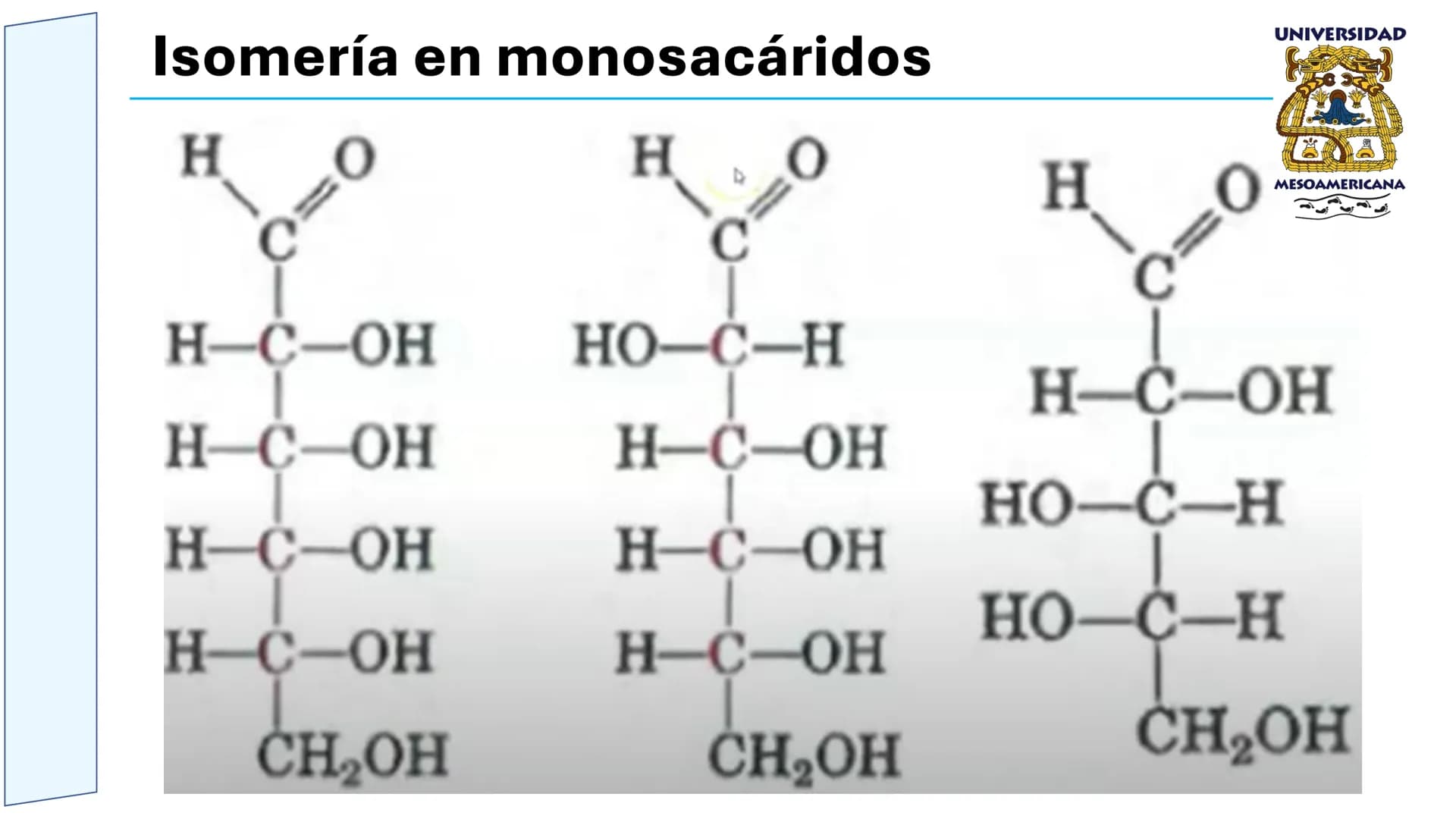 UNIVERSIDAD
MESOAMERICANA
UNIVERSIDAD
UNIVERSIDAD
MESOAMERICANA
Plantel Córdoba
Asignatura:
Bioquímica
Tema: Biomoléculas
Hidratos de carbon