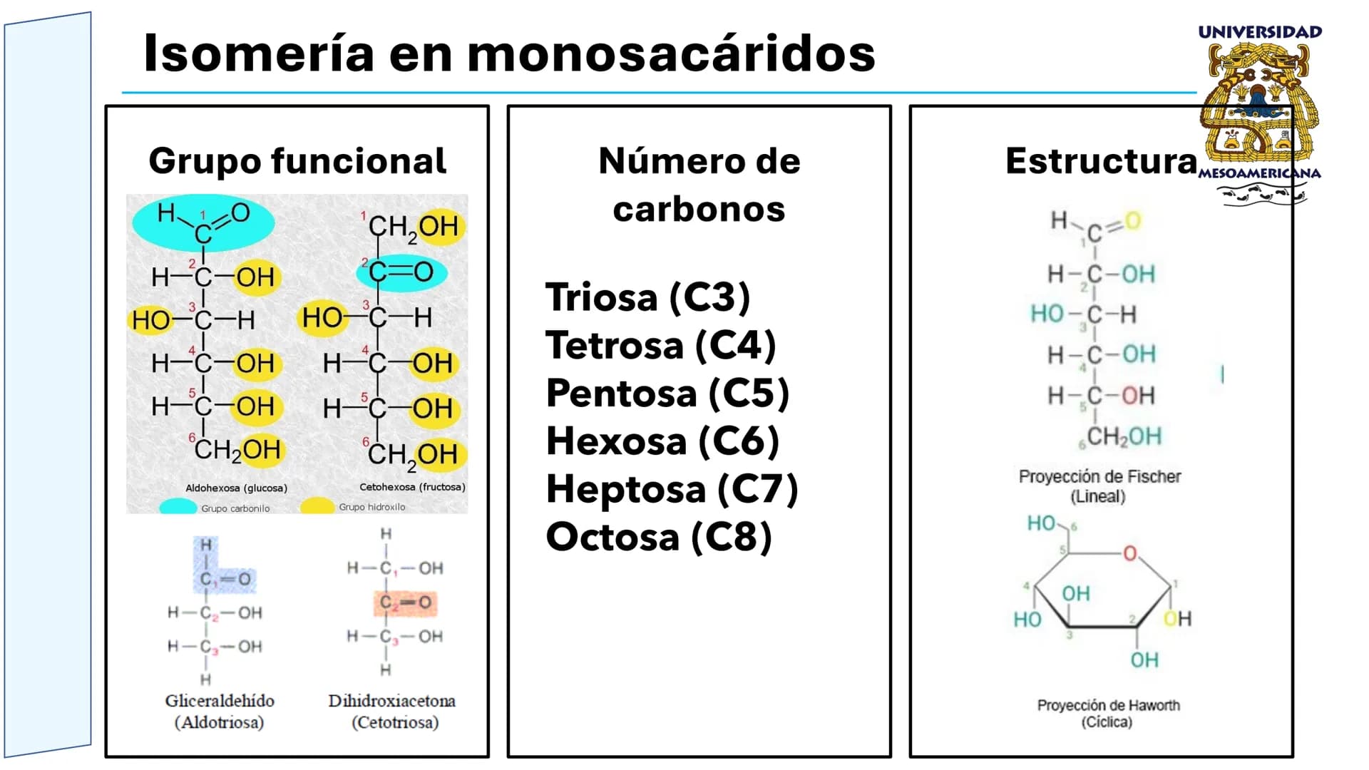 UNIVERSIDAD
MESOAMERICANA
UNIVERSIDAD
UNIVERSIDAD
MESOAMERICANA
Plantel Córdoba
Asignatura:
Bioquímica
Tema: Biomoléculas
Hidratos de carbon