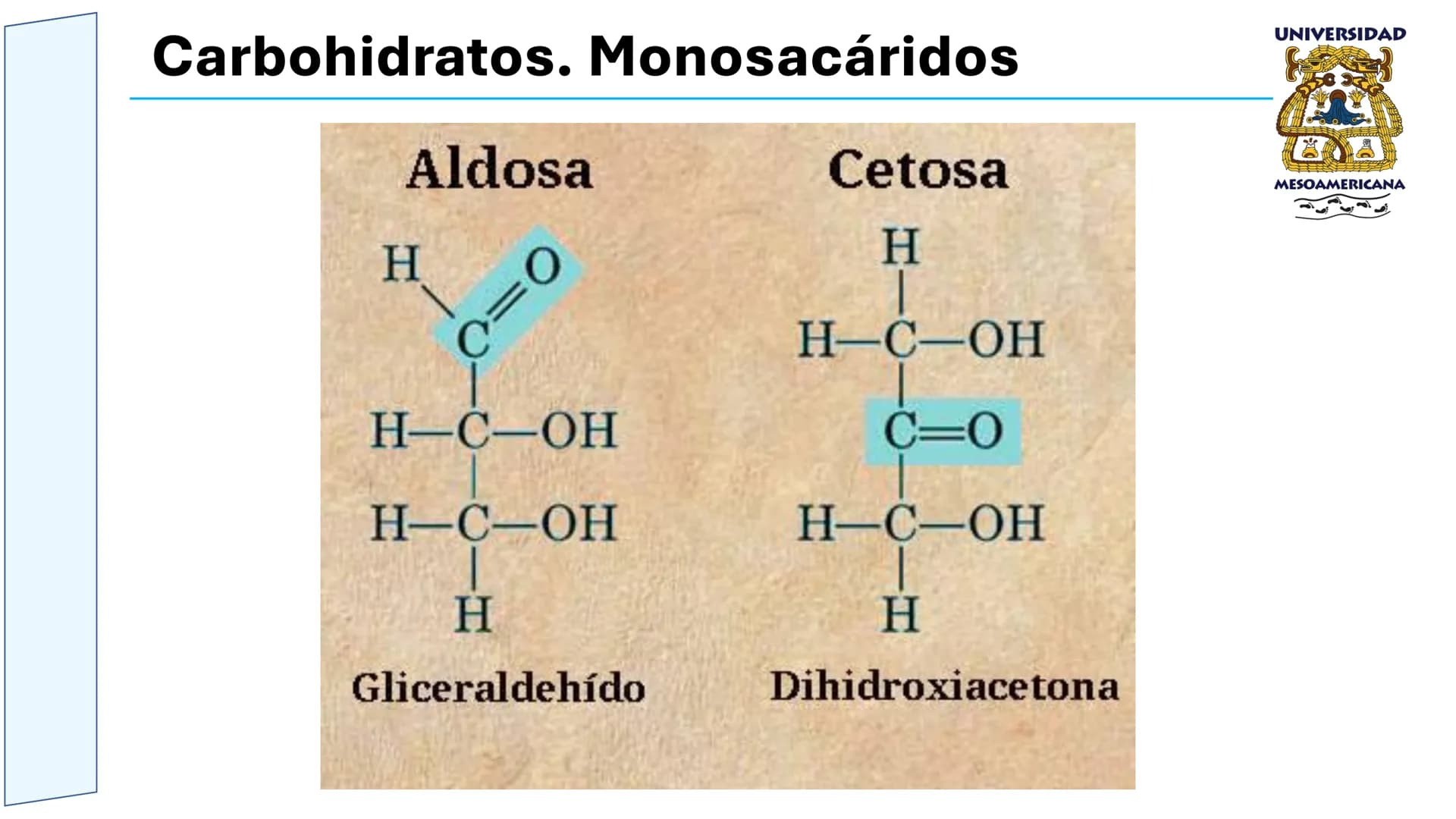 UNIVERSIDAD
MESOAMERICANA
UNIVERSIDAD
UNIVERSIDAD
MESOAMERICANA
Plantel Córdoba
Asignatura:
Bioquímica
Tema: Biomoléculas
Hidratos de carbon