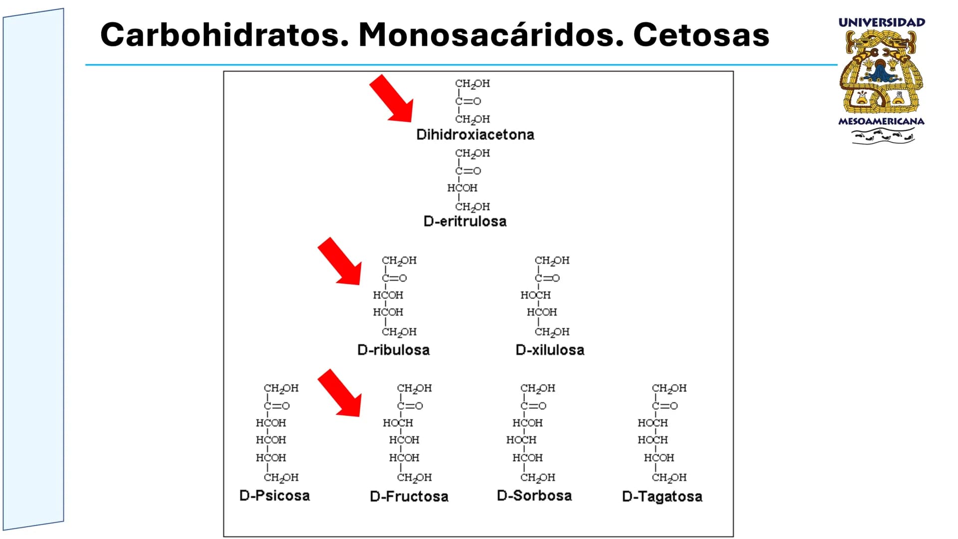 UNIVERSIDAD
MESOAMERICANA
UNIVERSIDAD
UNIVERSIDAD
MESOAMERICANA
Plantel Córdoba
Asignatura:
Bioquímica
Tema: Biomoléculas
Hidratos de carbon