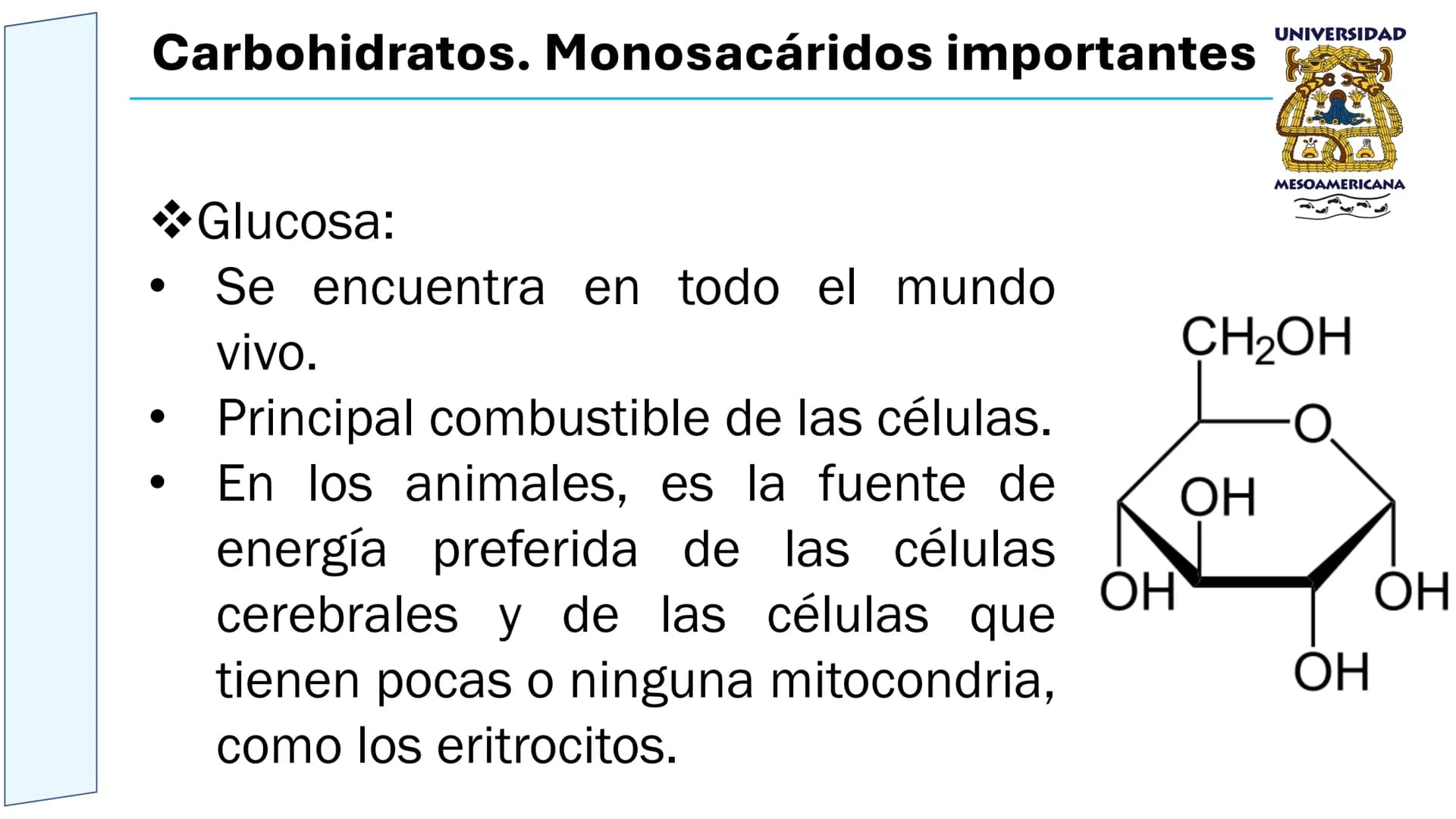 UNIVERSIDAD
MESOAMERICANA
UNIVERSIDAD
UNIVERSIDAD
MESOAMERICANA
Plantel Córdoba
Asignatura:
Bioquímica
Tema: Biomoléculas
Hidratos de carbon