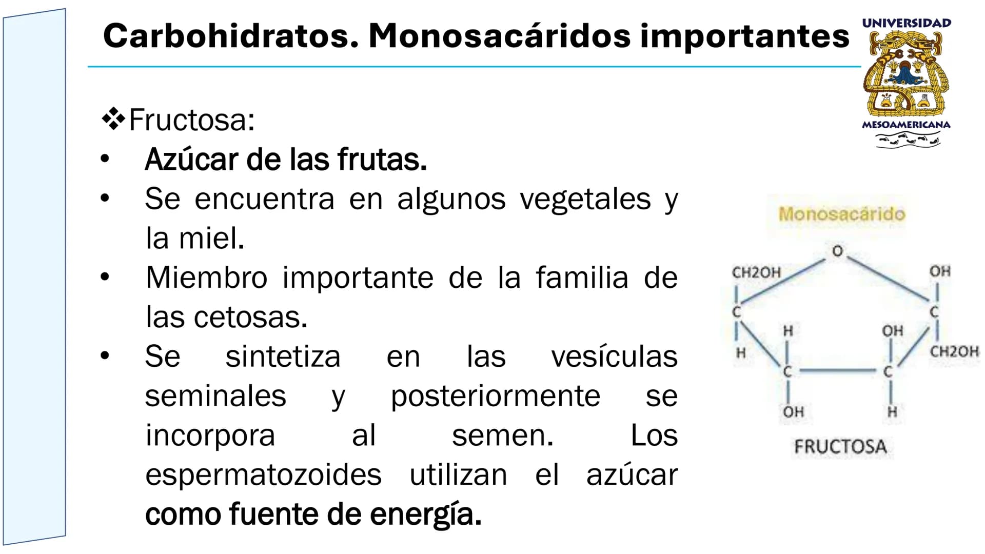 UNIVERSIDAD
MESOAMERICANA
UNIVERSIDAD
UNIVERSIDAD
MESOAMERICANA
Plantel Córdoba
Asignatura:
Bioquímica
Tema: Biomoléculas
Hidratos de carbon