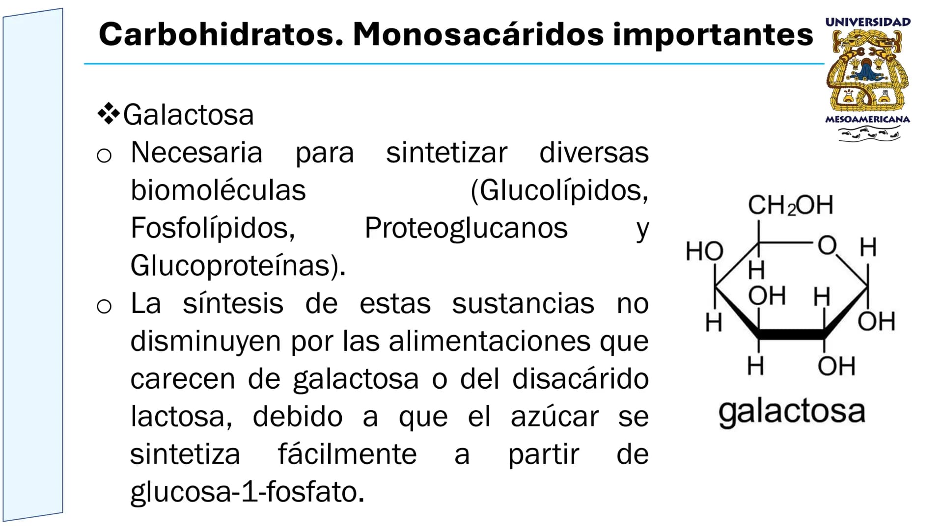 UNIVERSIDAD
MESOAMERICANA
UNIVERSIDAD
UNIVERSIDAD
MESOAMERICANA
Plantel Córdoba
Asignatura:
Bioquímica
Tema: Biomoléculas
Hidratos de carbon