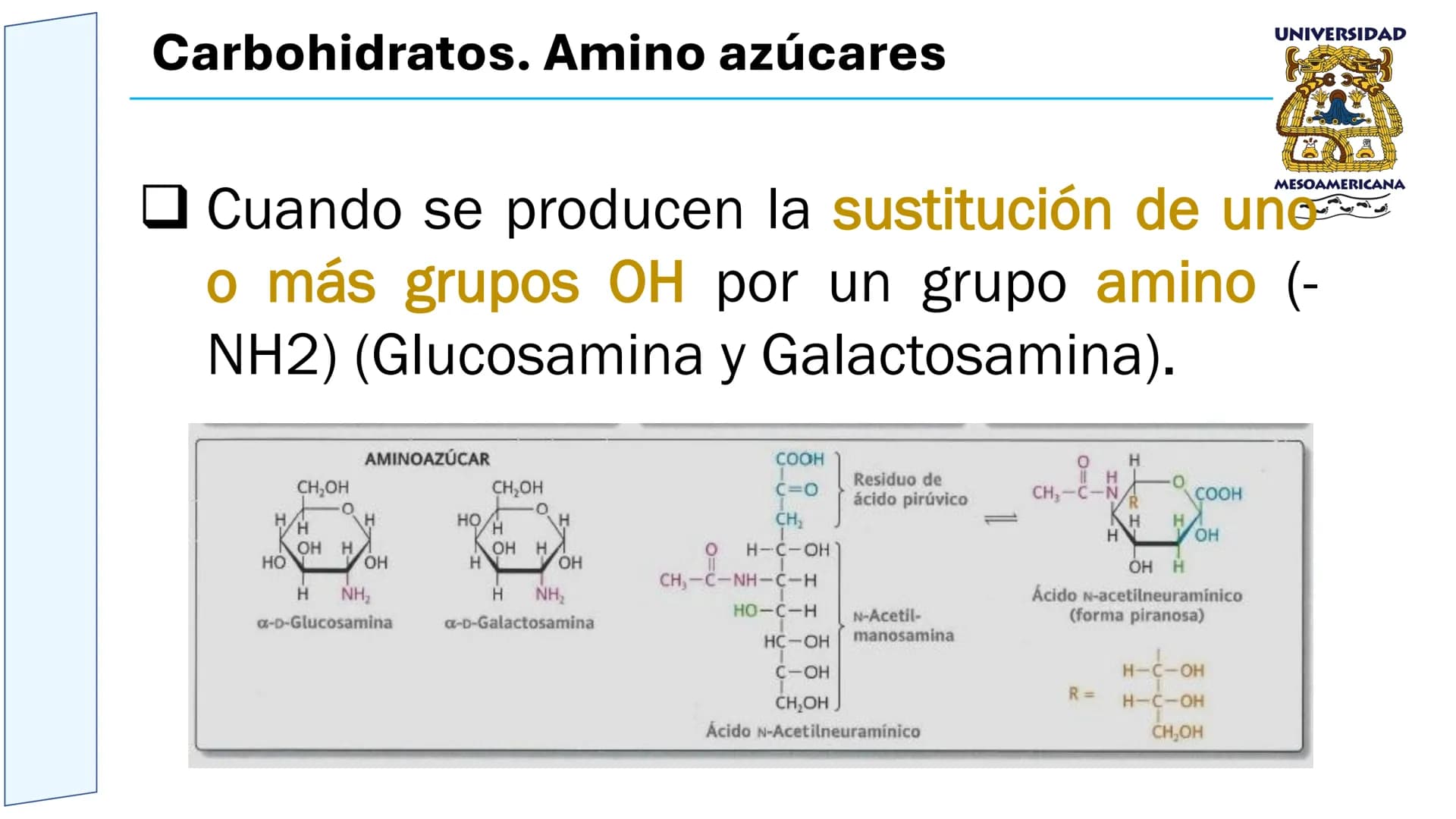 UNIVERSIDAD
MESOAMERICANA
UNIVERSIDAD
UNIVERSIDAD
MESOAMERICANA
Plantel Córdoba
Asignatura:
Bioquímica
Tema: Biomoléculas
Hidratos de carbon