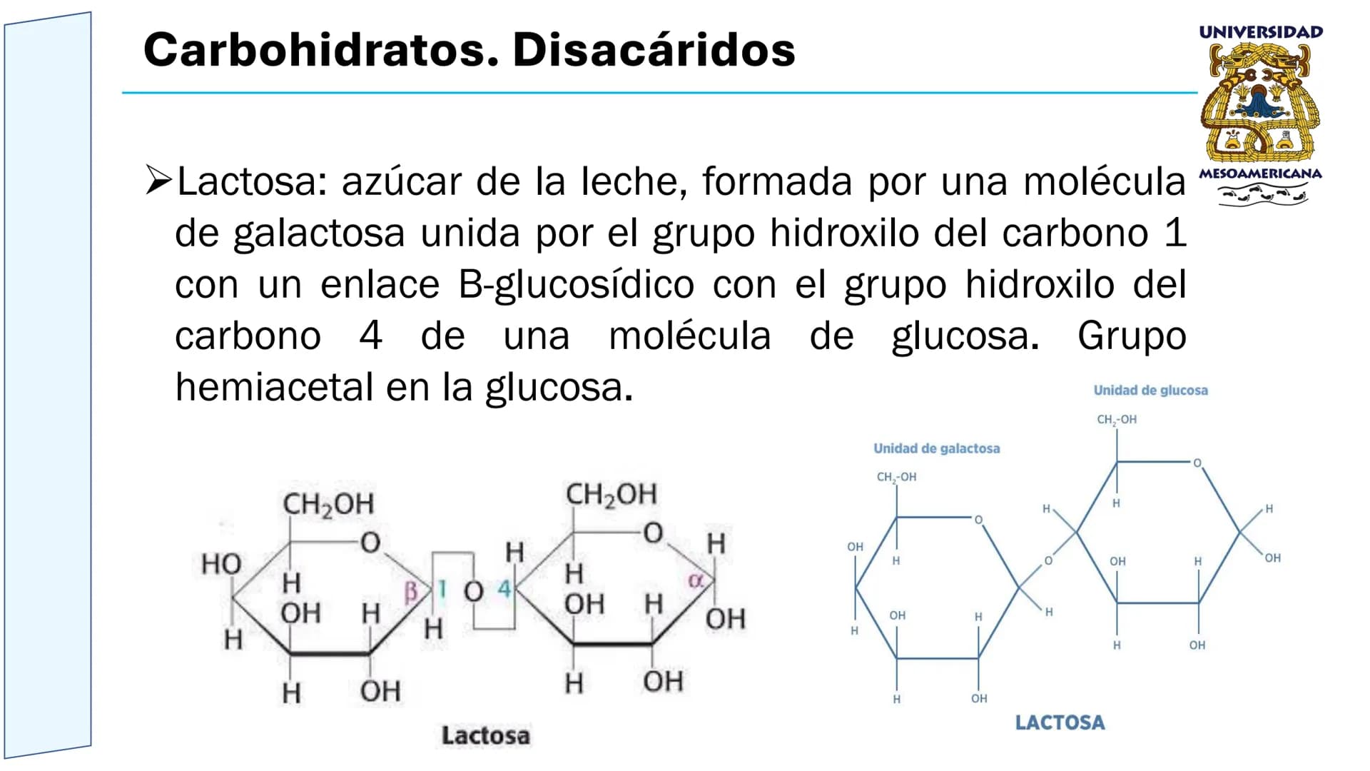 UNIVERSIDAD
MESOAMERICANA
UNIVERSIDAD
UNIVERSIDAD
MESOAMERICANA
Plantel Córdoba
Asignatura:
Bioquímica
Tema: Biomoléculas
Hidratos de carbon