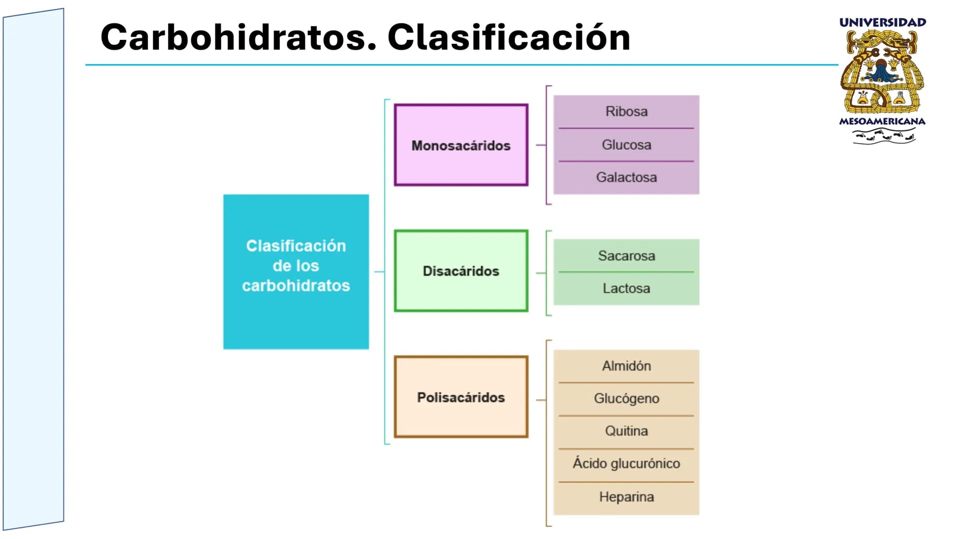 UNIVERSIDAD
MESOAMERICANA
UNIVERSIDAD
UNIVERSIDAD
MESOAMERICANA
Plantel Córdoba
Asignatura:
Bioquímica
Tema: Biomoléculas
Hidratos de carbon