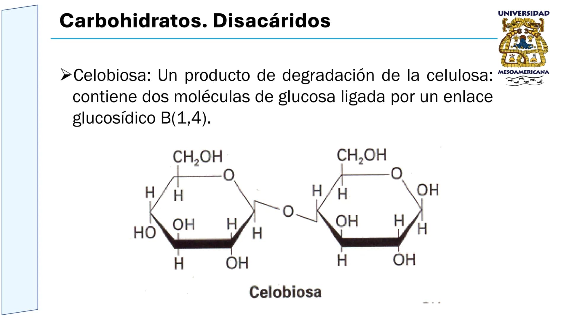 UNIVERSIDAD
MESOAMERICANA
UNIVERSIDAD
UNIVERSIDAD
MESOAMERICANA
Plantel Córdoba
Asignatura:
Bioquímica
Tema: Biomoléculas
Hidratos de carbon