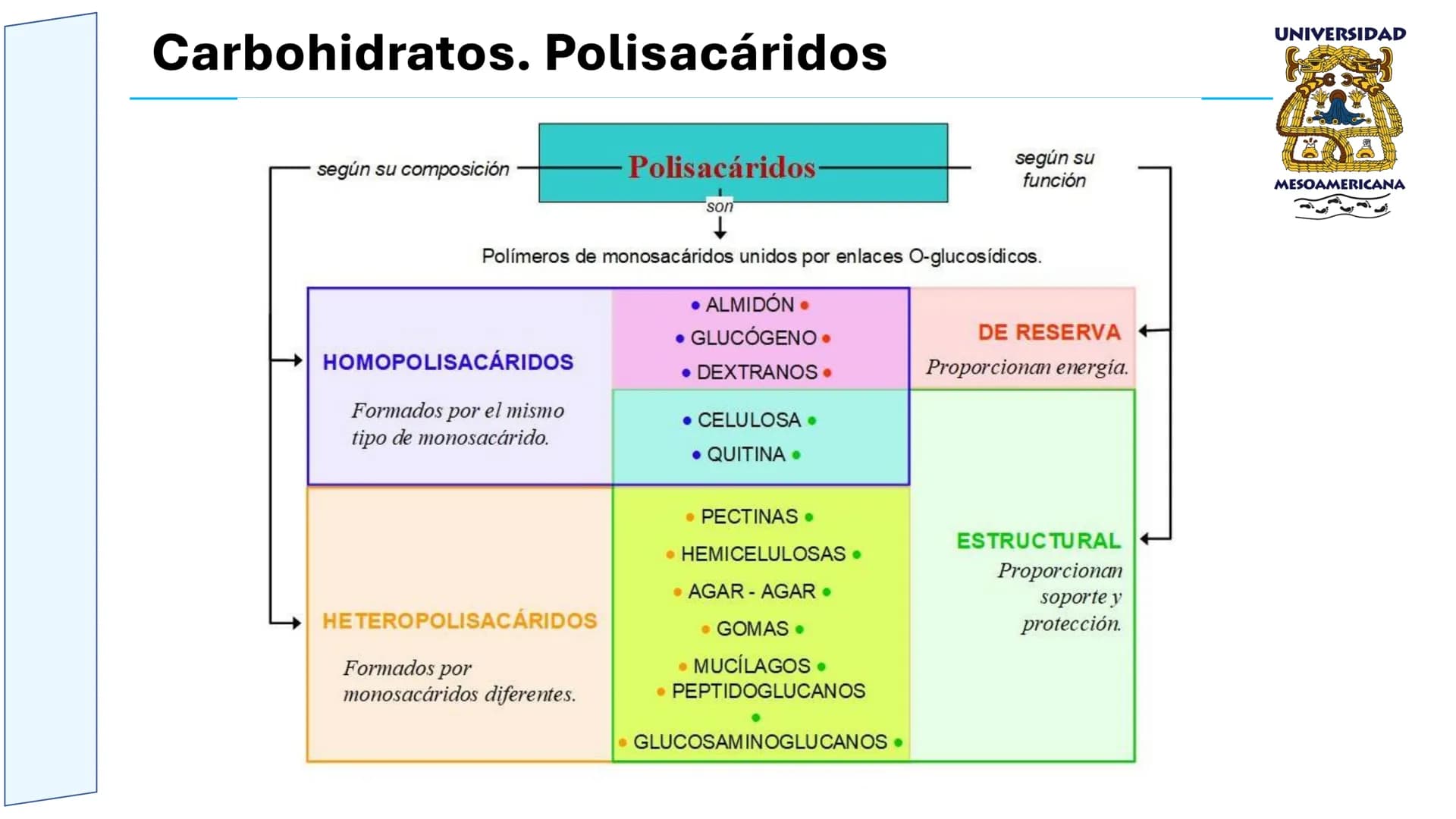 UNIVERSIDAD
MESOAMERICANA
UNIVERSIDAD
UNIVERSIDAD
MESOAMERICANA
Plantel Córdoba
Asignatura:
Bioquímica
Tema: Biomoléculas
Hidratos de carbon