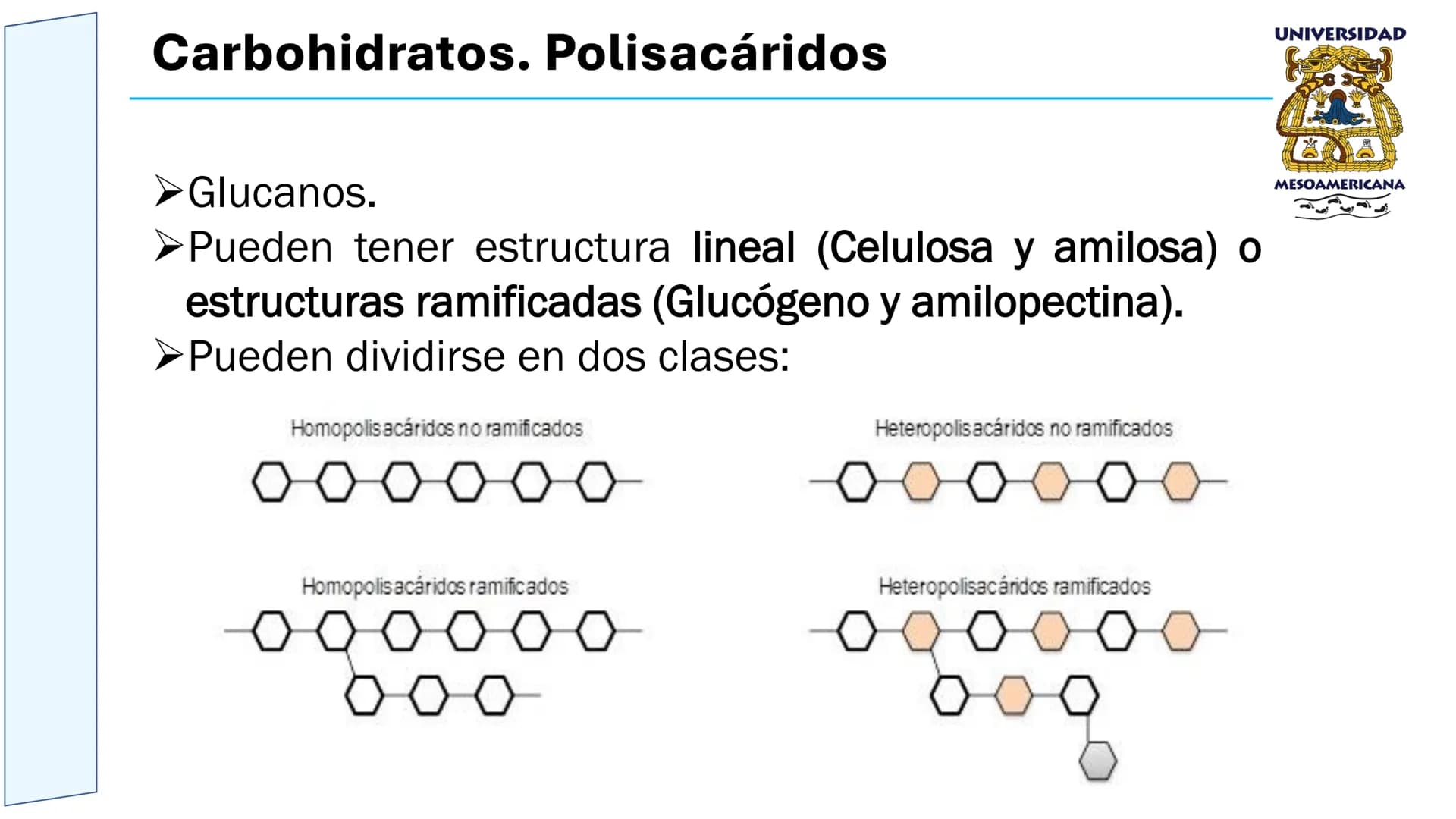 UNIVERSIDAD
MESOAMERICANA
UNIVERSIDAD
UNIVERSIDAD
MESOAMERICANA
Plantel Córdoba
Asignatura:
Bioquímica
Tema: Biomoléculas
Hidratos de carbon