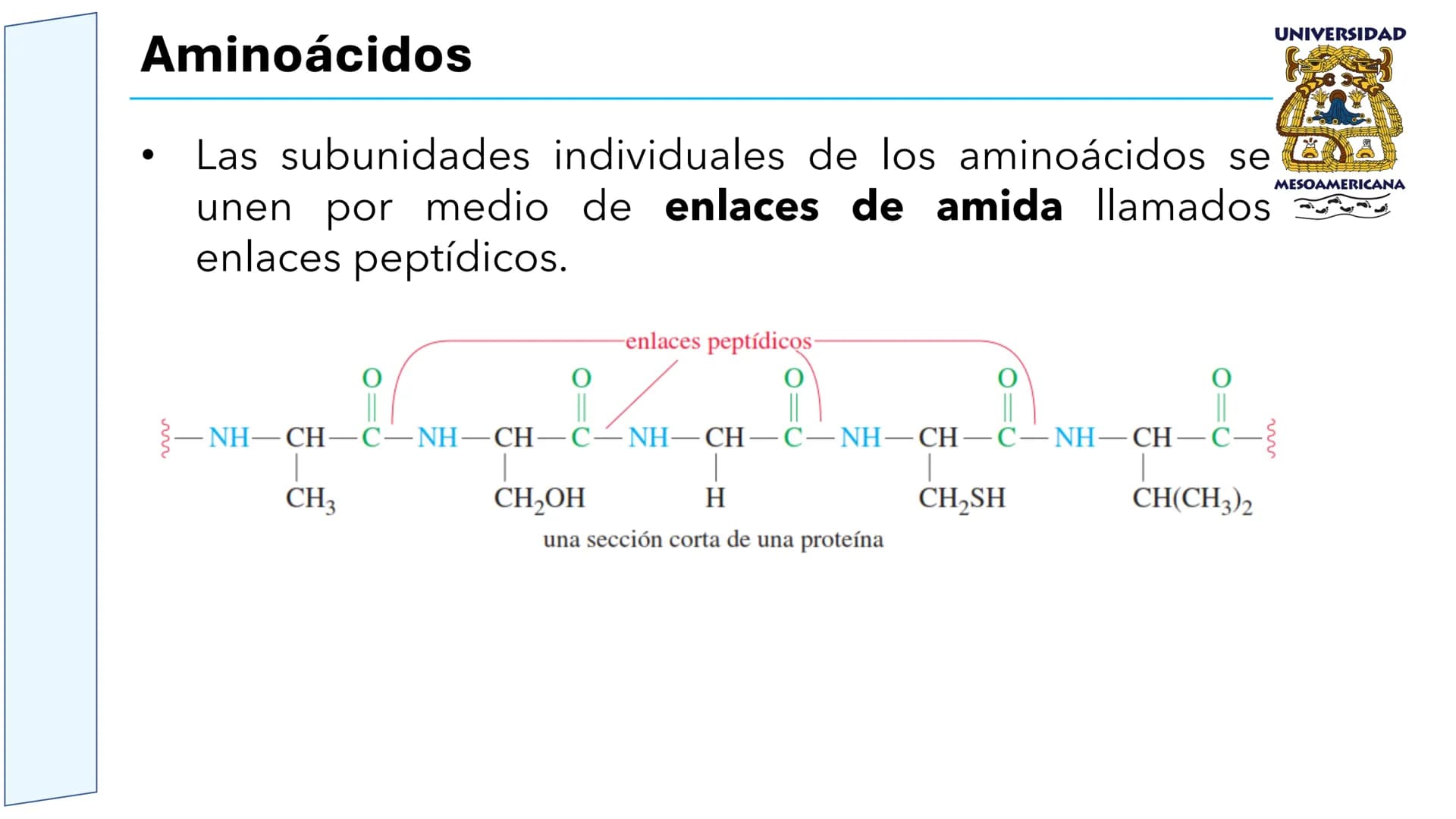 UNIVERSIDAD
MESOAMERICANA
UNIVERSIDAD
UNIVERSIDAD
MESOAMERICANA
Plantel Córdoba
Asignatura:
Bioquímica
Tema: Biomoléculas
Hidratos de carbon