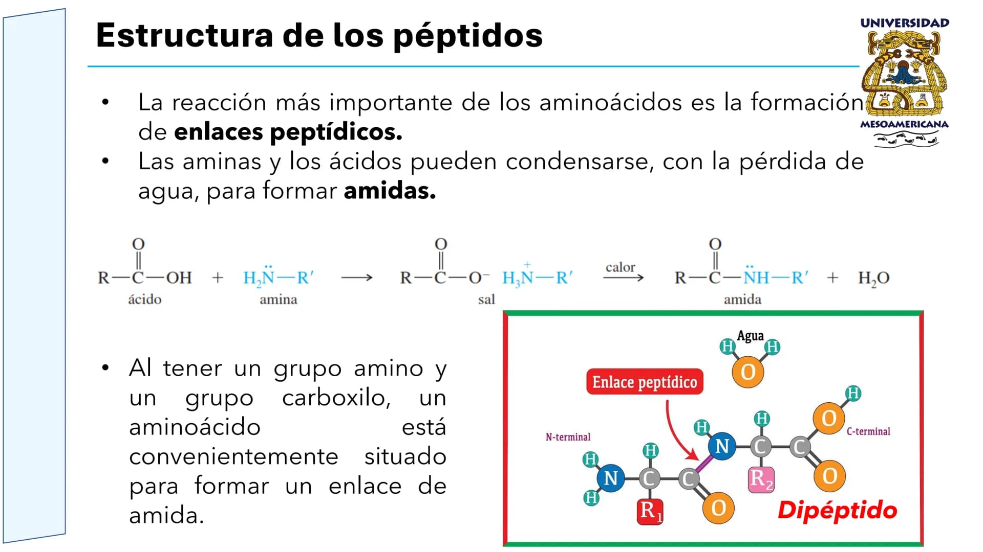 UNIVERSIDAD
MESOAMERICANA
UNIVERSIDAD
UNIVERSIDAD
MESOAMERICANA
Plantel Córdoba
Asignatura:
Bioquímica
Tema: Biomoléculas
Hidratos de carbon