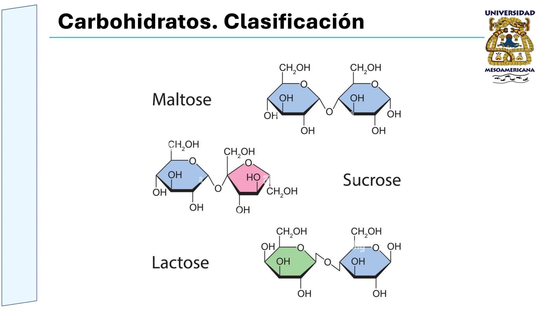 UNIVERSIDAD
MESOAMERICANA
UNIVERSIDAD
UNIVERSIDAD
MESOAMERICANA
Plantel Córdoba
Asignatura:
Bioquímica
Tema: Biomoléculas
Hidratos de carbon