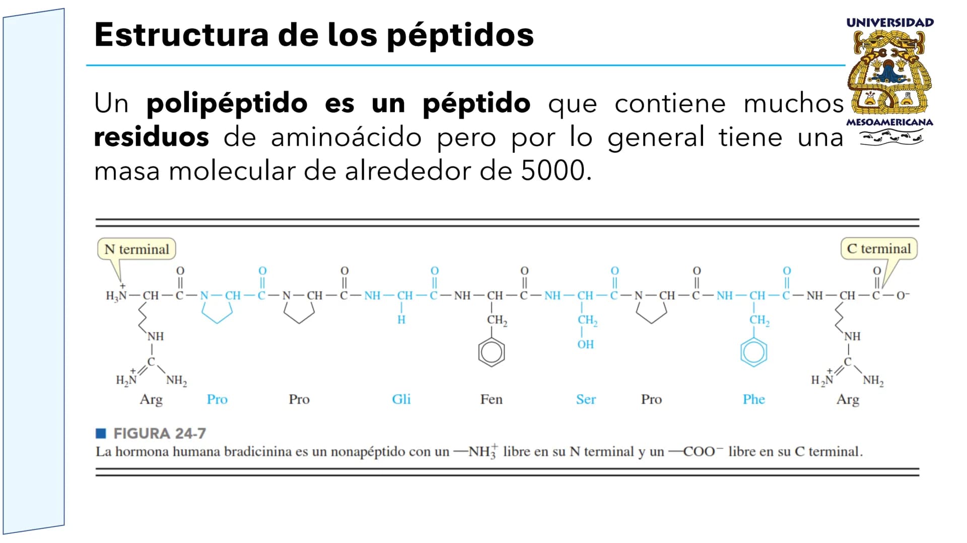 UNIVERSIDAD
MESOAMERICANA
UNIVERSIDAD
UNIVERSIDAD
MESOAMERICANA
Plantel Córdoba
Asignatura:
Bioquímica
Tema: Biomoléculas
Hidratos de carbon
