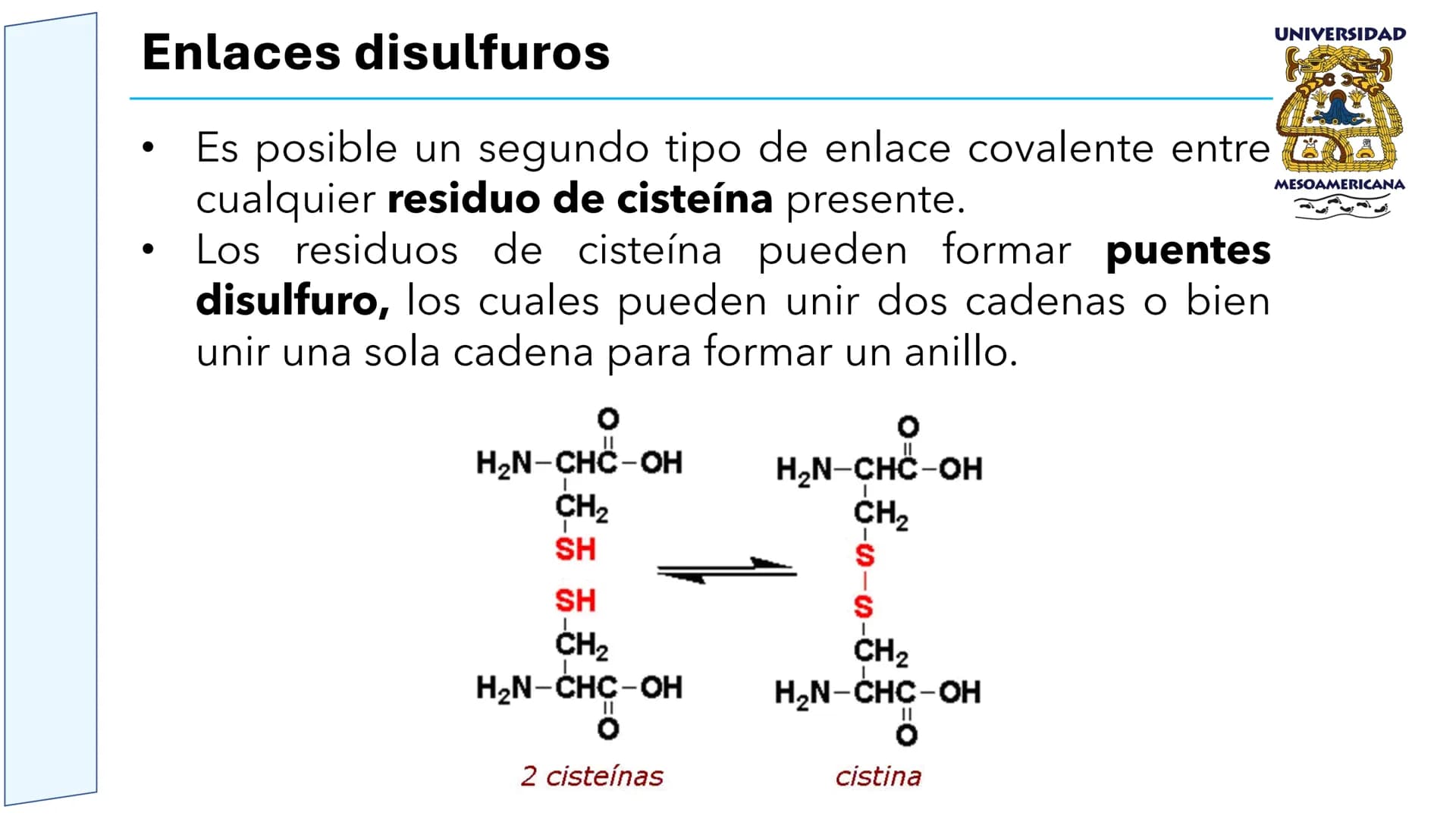 UNIVERSIDAD
MESOAMERICANA
UNIVERSIDAD
UNIVERSIDAD
MESOAMERICANA
Plantel Córdoba
Asignatura:
Bioquímica
Tema: Biomoléculas
Hidratos de carbon