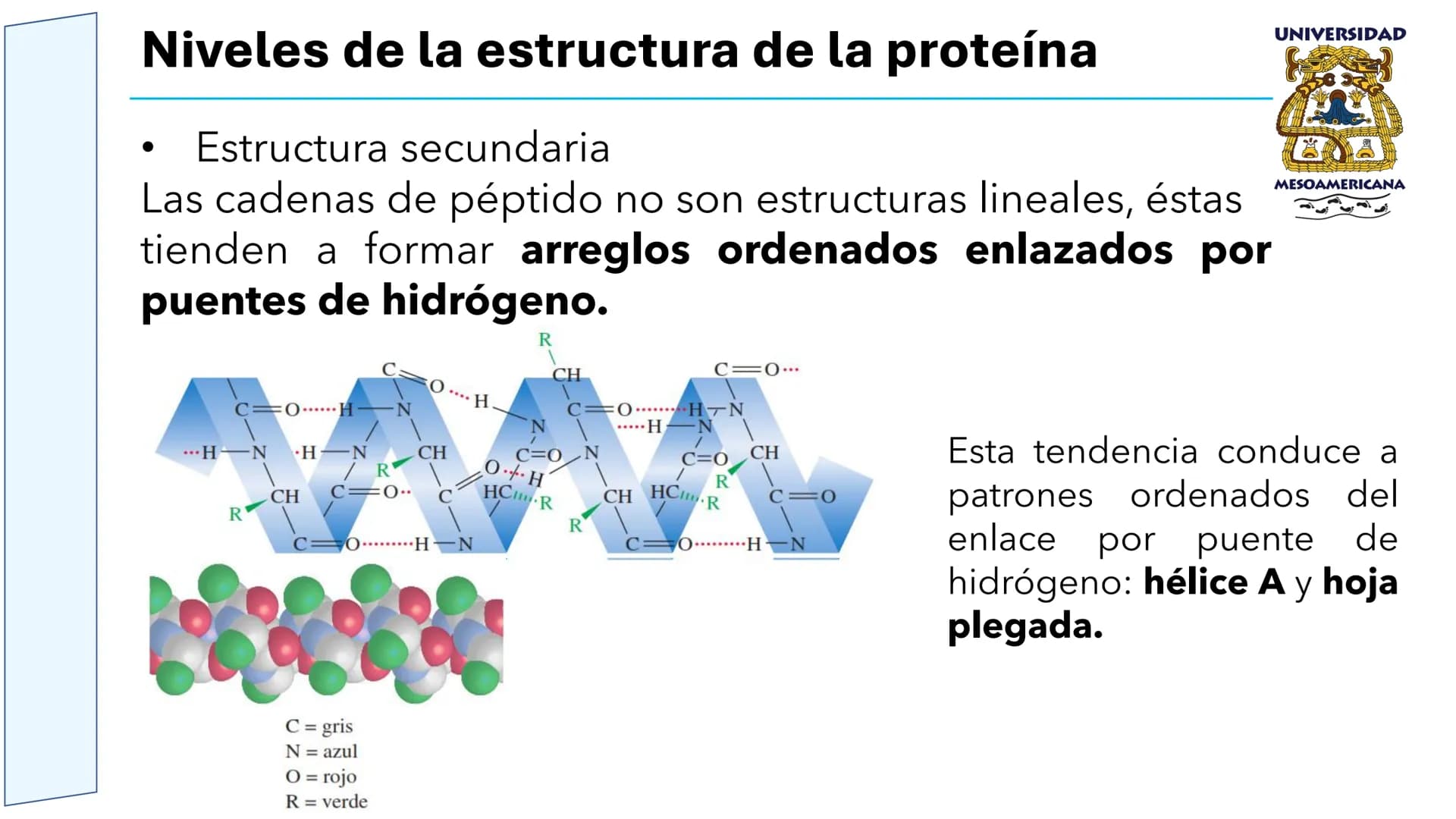 UNIVERSIDAD
MESOAMERICANA
UNIVERSIDAD
UNIVERSIDAD
MESOAMERICANA
Plantel Córdoba
Asignatura:
Bioquímica
Tema: Biomoléculas
Hidratos de carbon