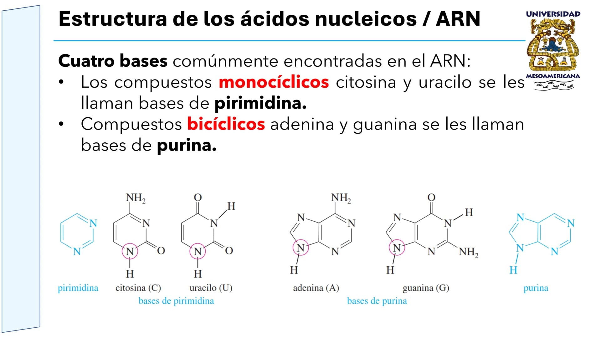 UNIVERSIDAD
MESOAMERICANA
UNIVERSIDAD
UNIVERSIDAD
MESOAMERICANA
Plantel Córdoba
Asignatura:
Bioquímica
Tema: Biomoléculas
Hidratos de carbon