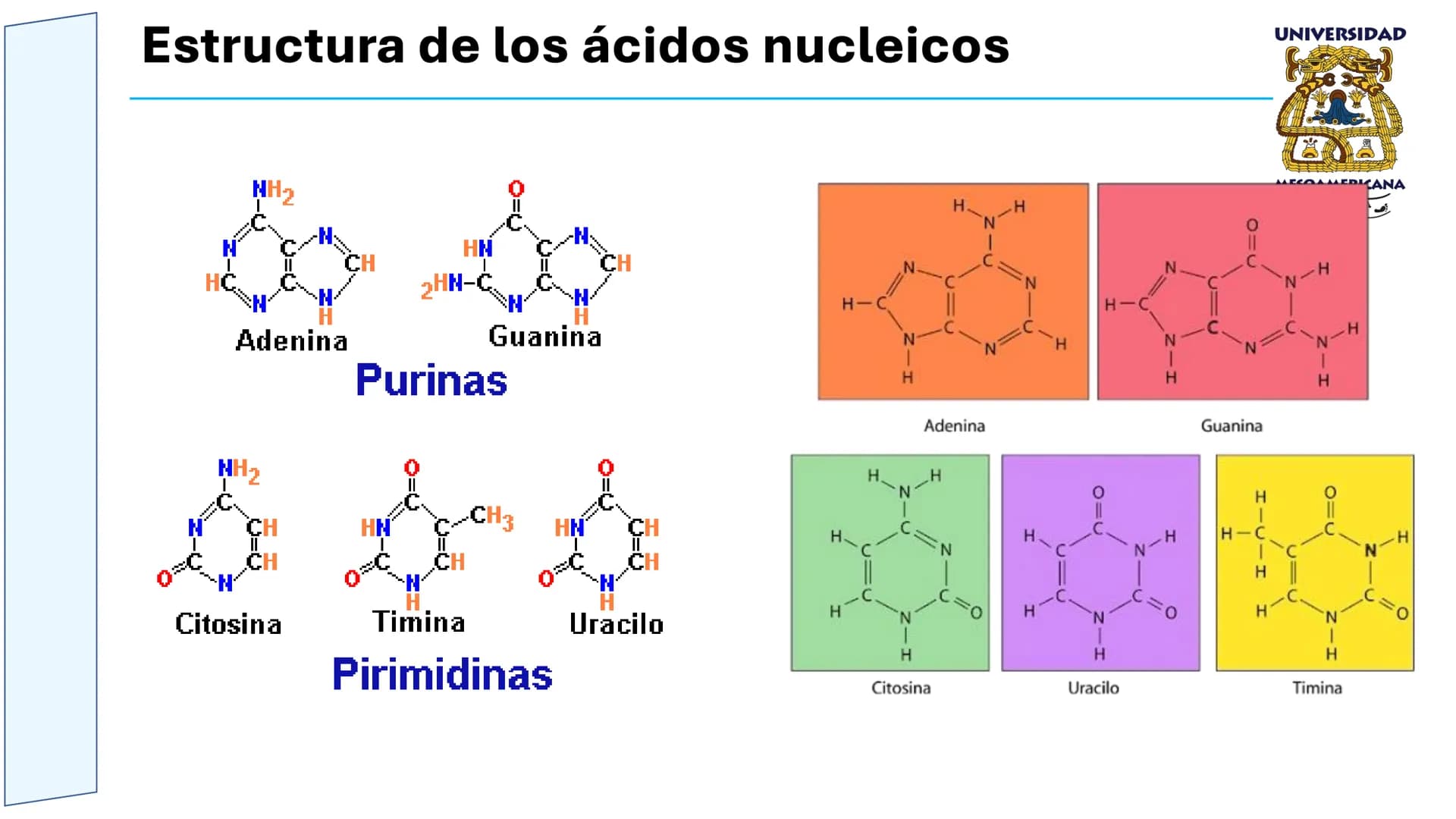 UNIVERSIDAD
MESOAMERICANA
UNIVERSIDAD
UNIVERSIDAD
MESOAMERICANA
Plantel Córdoba
Asignatura:
Bioquímica
Tema: Biomoléculas
Hidratos de carbon