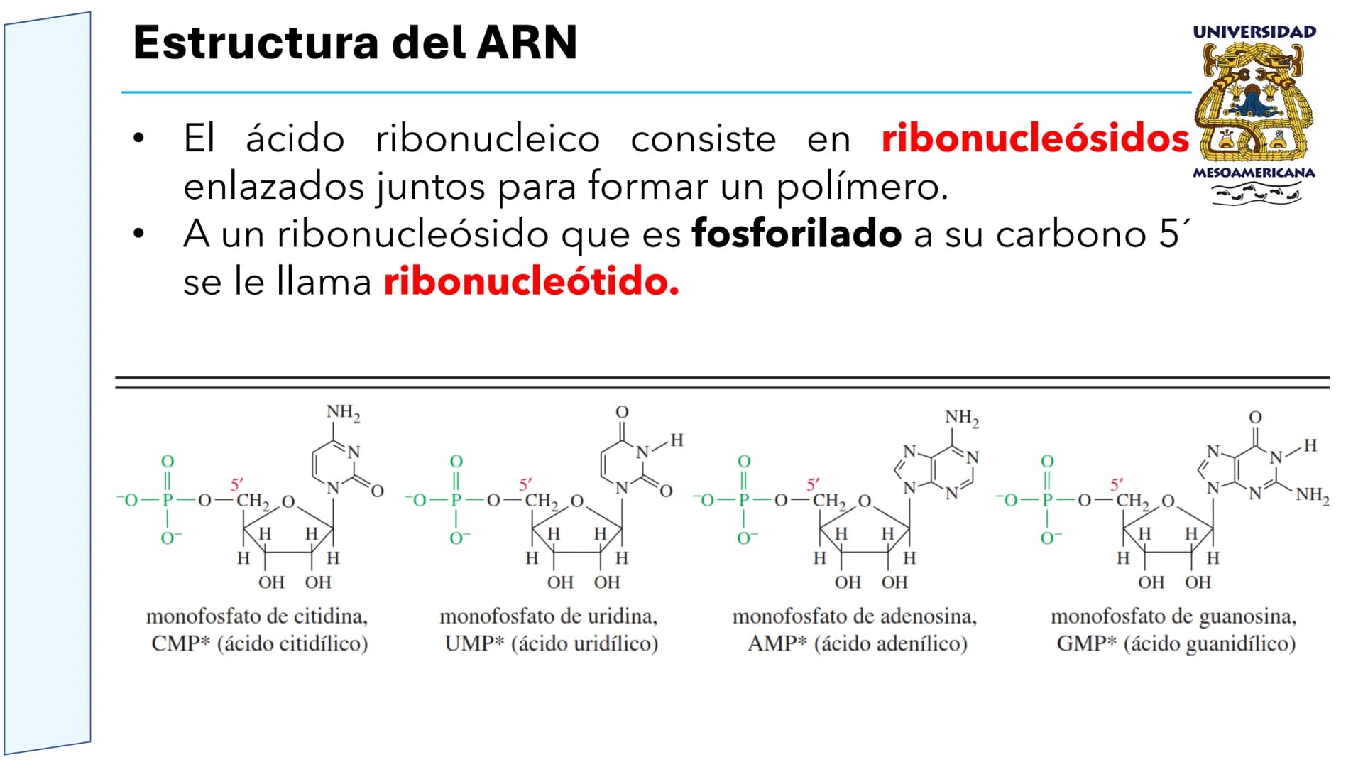 UNIVERSIDAD
MESOAMERICANA
UNIVERSIDAD
UNIVERSIDAD
MESOAMERICANA
Plantel Córdoba
Asignatura:
Bioquímica
Tema: Biomoléculas
Hidratos de carbon