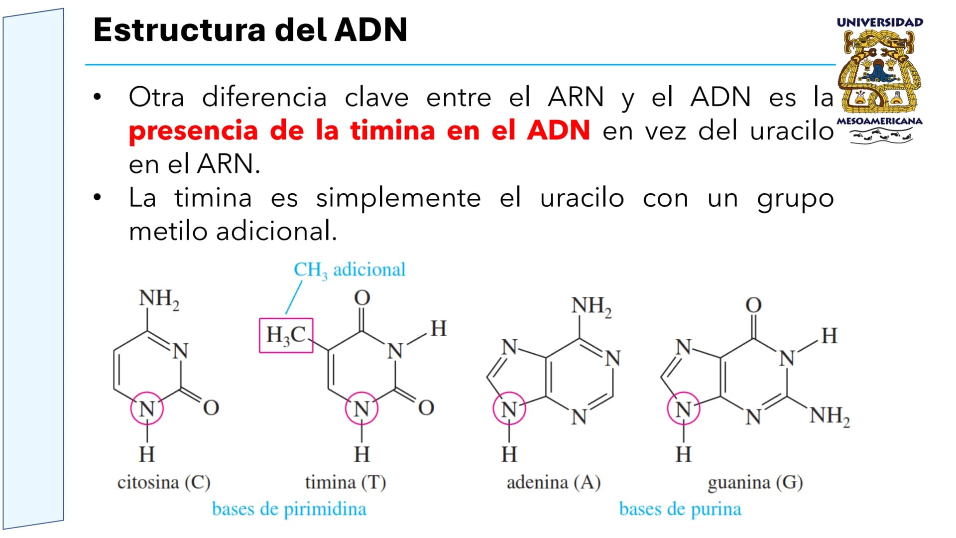 UNIVERSIDAD
MESOAMERICANA
UNIVERSIDAD
UNIVERSIDAD
MESOAMERICANA
Plantel Córdoba
Asignatura:
Bioquímica
Tema: Biomoléculas
Hidratos de carbon