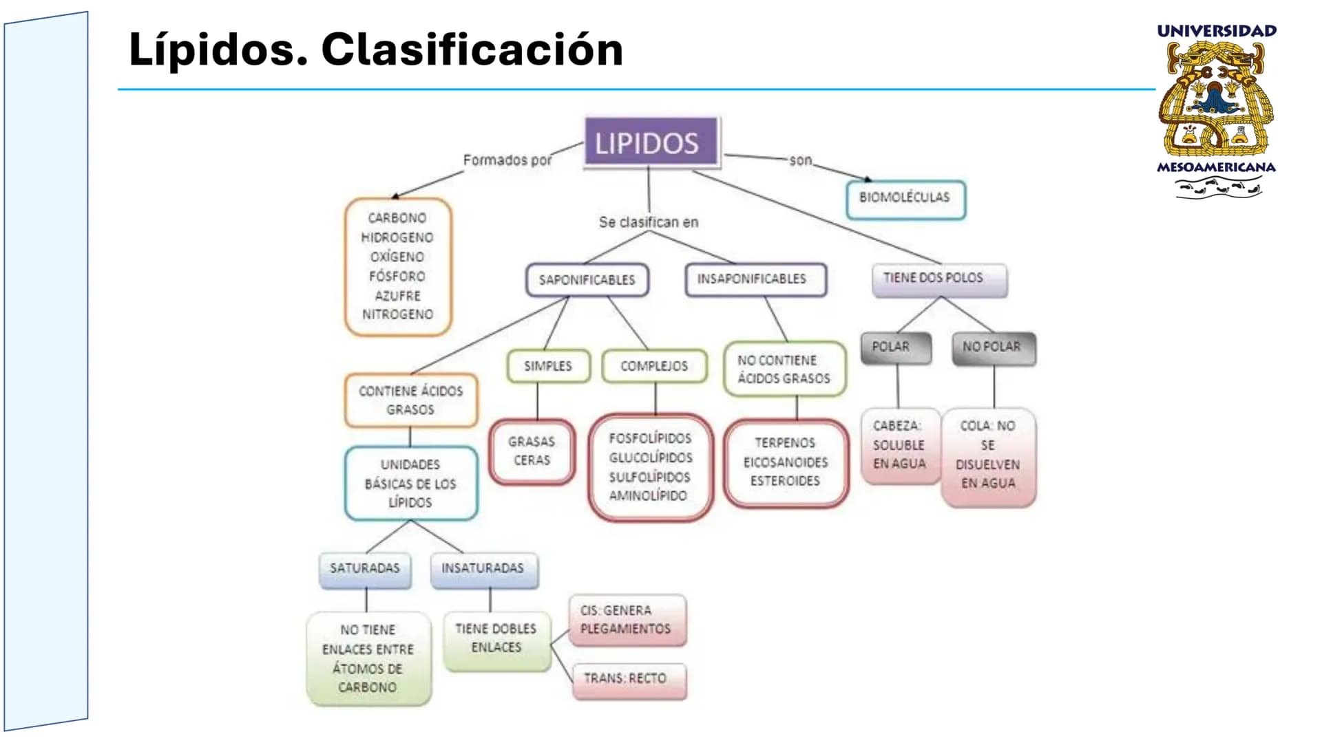 UNIVERSIDAD
MESOAMERICANA
UNIVERSIDAD
UNIVERSIDAD
MESOAMERICANA
Plantel Córdoba
Asignatura:
Bioquímica
Tema: Biomoléculas
Hidratos de carbon