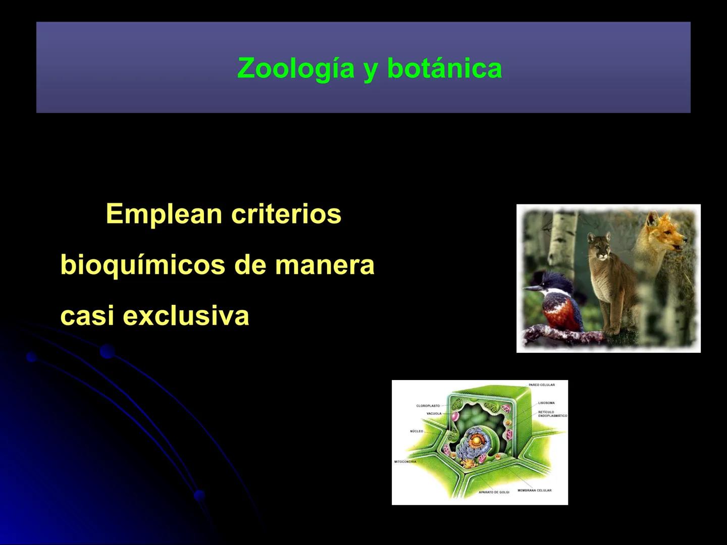 # BIOQUÍMICA
D.C. Sandra Gpe. Sánchez Ceja
Facultad de Químico Farmacobiología # BIOQUÍMICA
Ciencia que estudia las
moléculas presentes e