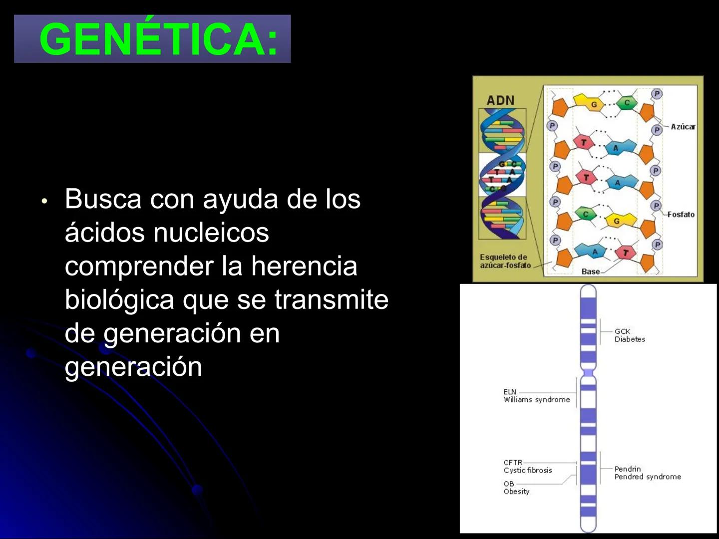 # BIOQUÍMICA
D.C. Sandra Gpe. Sánchez Ceja
Facultad de Químico Farmacobiología # BIOQUÍMICA
Ciencia que estudia las
moléculas presentes e