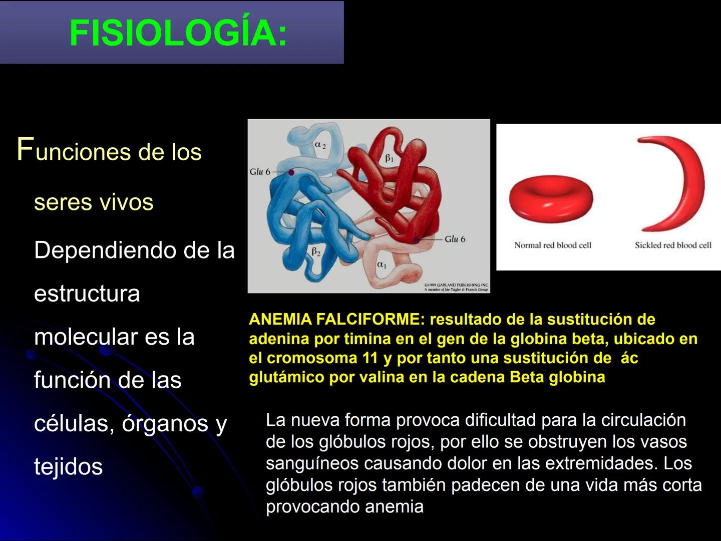 # BIOQUÍMICA
D.C. Sandra Gpe. Sánchez Ceja
Facultad de Químico Farmacobiología # BIOQUÍMICA
Ciencia que estudia las
moléculas presentes e