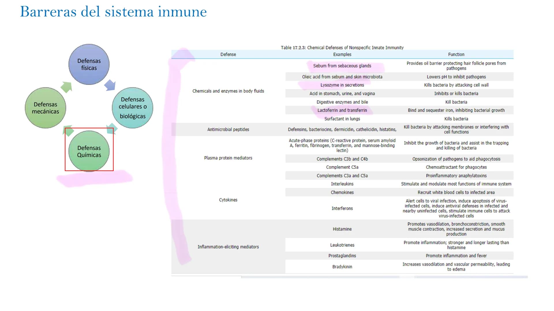 Barreras del sistema inmune
Defensas
mecánicas
Defensas
físicas
Defensas
Químicas
Defensas
celulares o
biológicas
epidermis
dermis
Pi