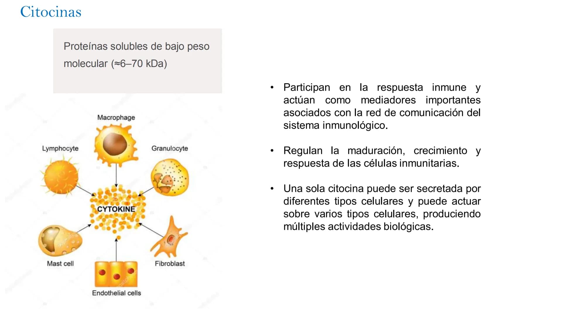 Barreras del sistema inmune
Defensas
mecánicas
Defensas
físicas
Defensas
Químicas
Defensas
celulares o
biológicas
epidermis
dermis
Pi