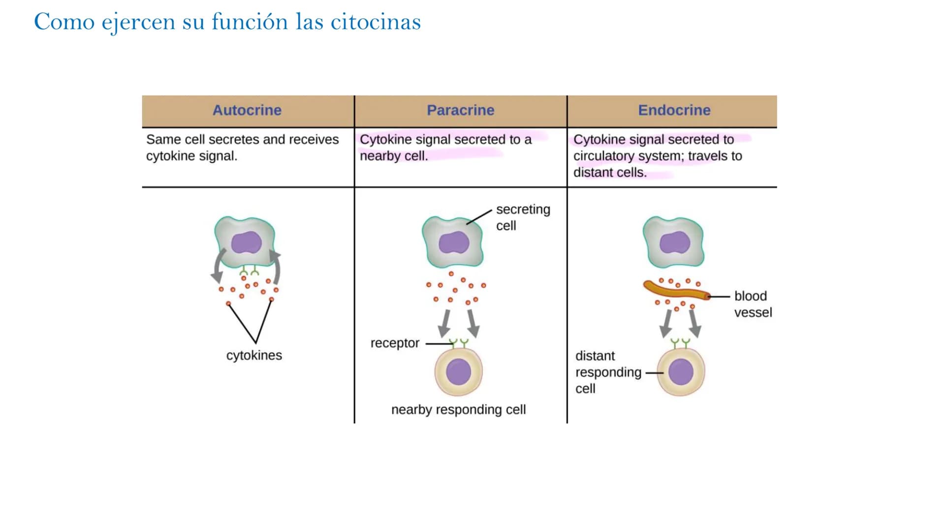 Barreras del sistema inmune
Defensas
mecánicas
Defensas
físicas
Defensas
Químicas
Defensas
celulares o
biológicas
epidermis
dermis
Pi