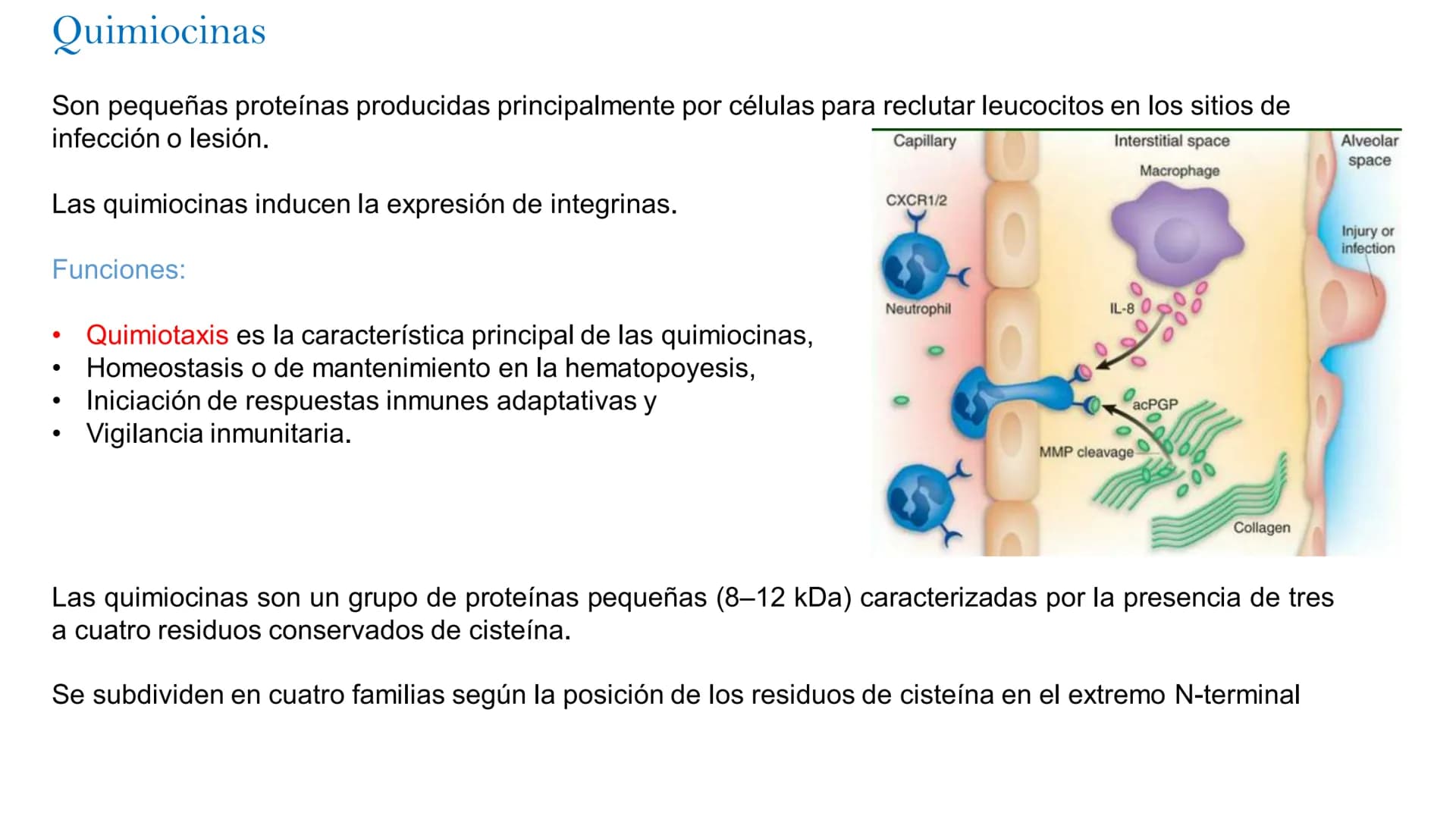 Barreras del sistema inmune
Defensas
mecánicas
Defensas
físicas
Defensas
Químicas
Defensas
celulares o
biológicas
epidermis
dermis
Pi