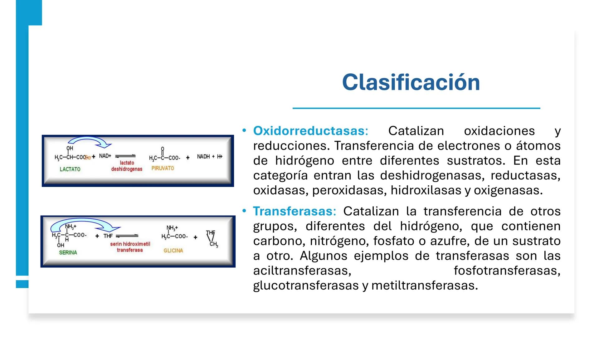 COS
UNIVERSIDAD DE LA COSTA
OAXACA
UNCOS
Universidad de la Costa
Facta non Verba
BIOQUÍMICA
BÁSICA
Licenciatura en Medicina Veterinaria y