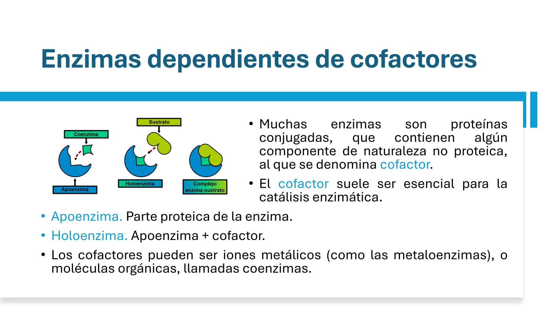 COS
UNIVERSIDAD DE LA COSTA
OAXACA
UNCOS
Universidad de la Costa
Facta non Verba
BIOQUÍMICA
BÁSICA
Licenciatura en Medicina Veterinaria y
