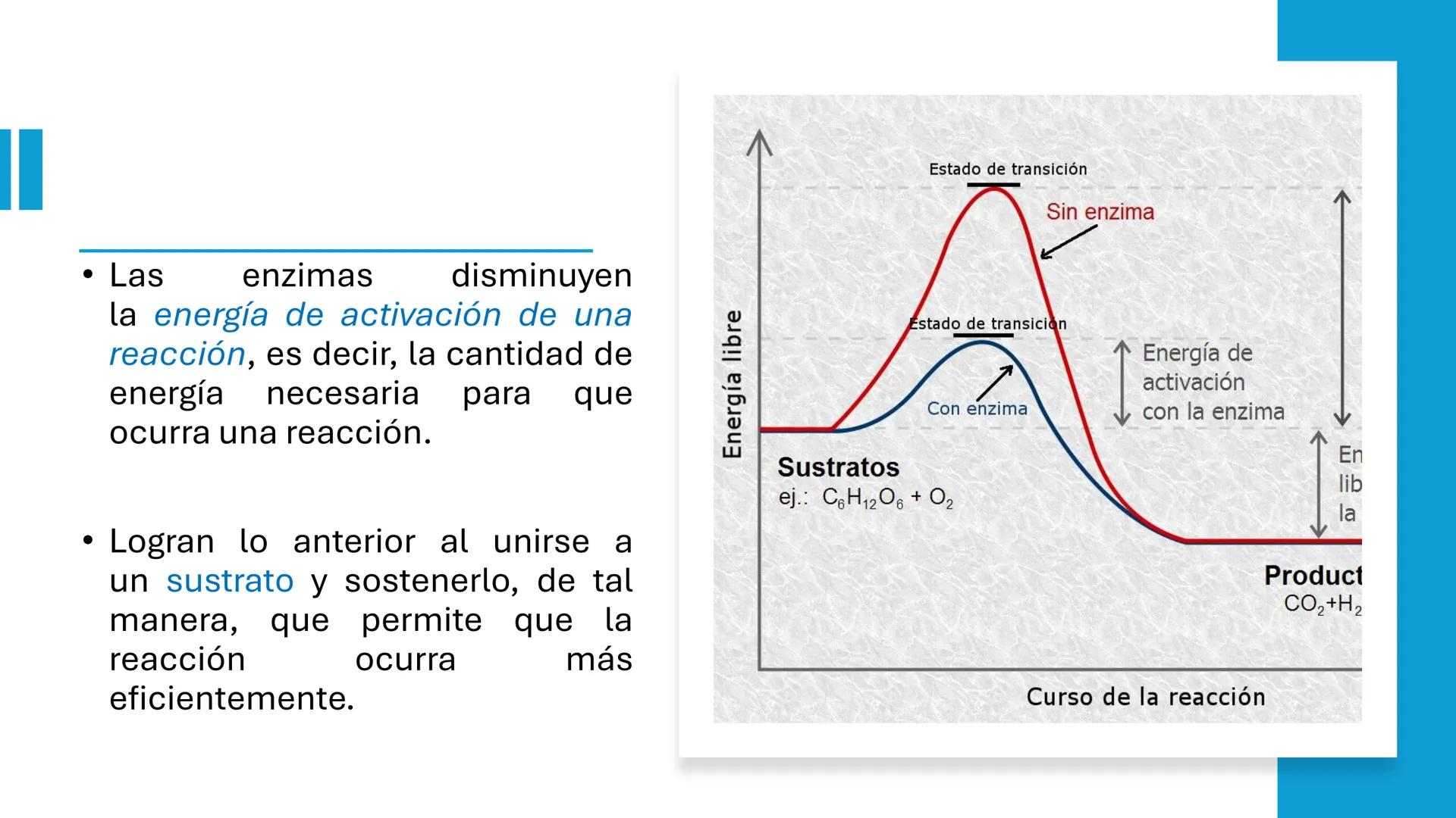 COS
UNIVERSIDAD DE LA COSTA
OAXACA
UNCOS
Universidad de la Costa
Facta non Verba
BIOQUÍMICA
BÁSICA
Licenciatura en Medicina Veterinaria y