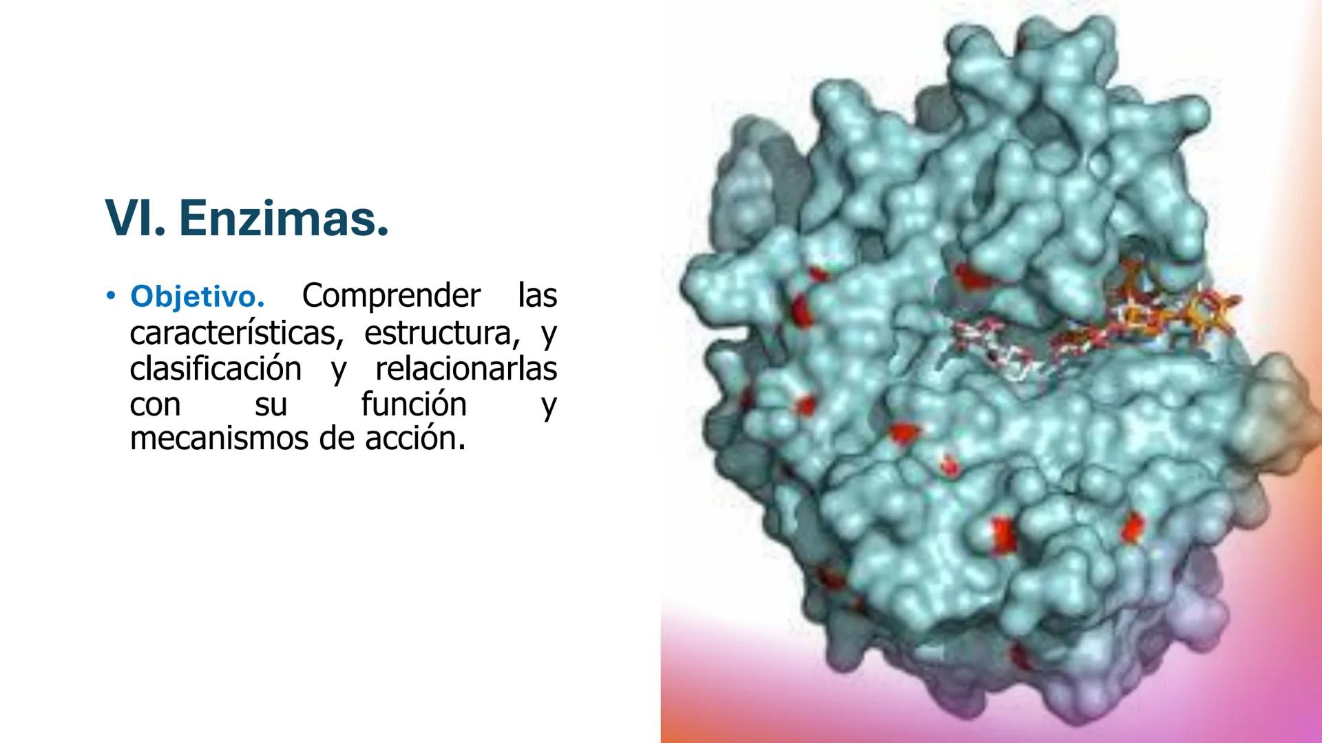 COS
UNIVERSIDAD DE LA COSTA
OAXACA
UNCOS
Universidad de la Costa
Facta non Verba
BIOQUÍMICA
BÁSICA
Licenciatura en Medicina Veterinaria y