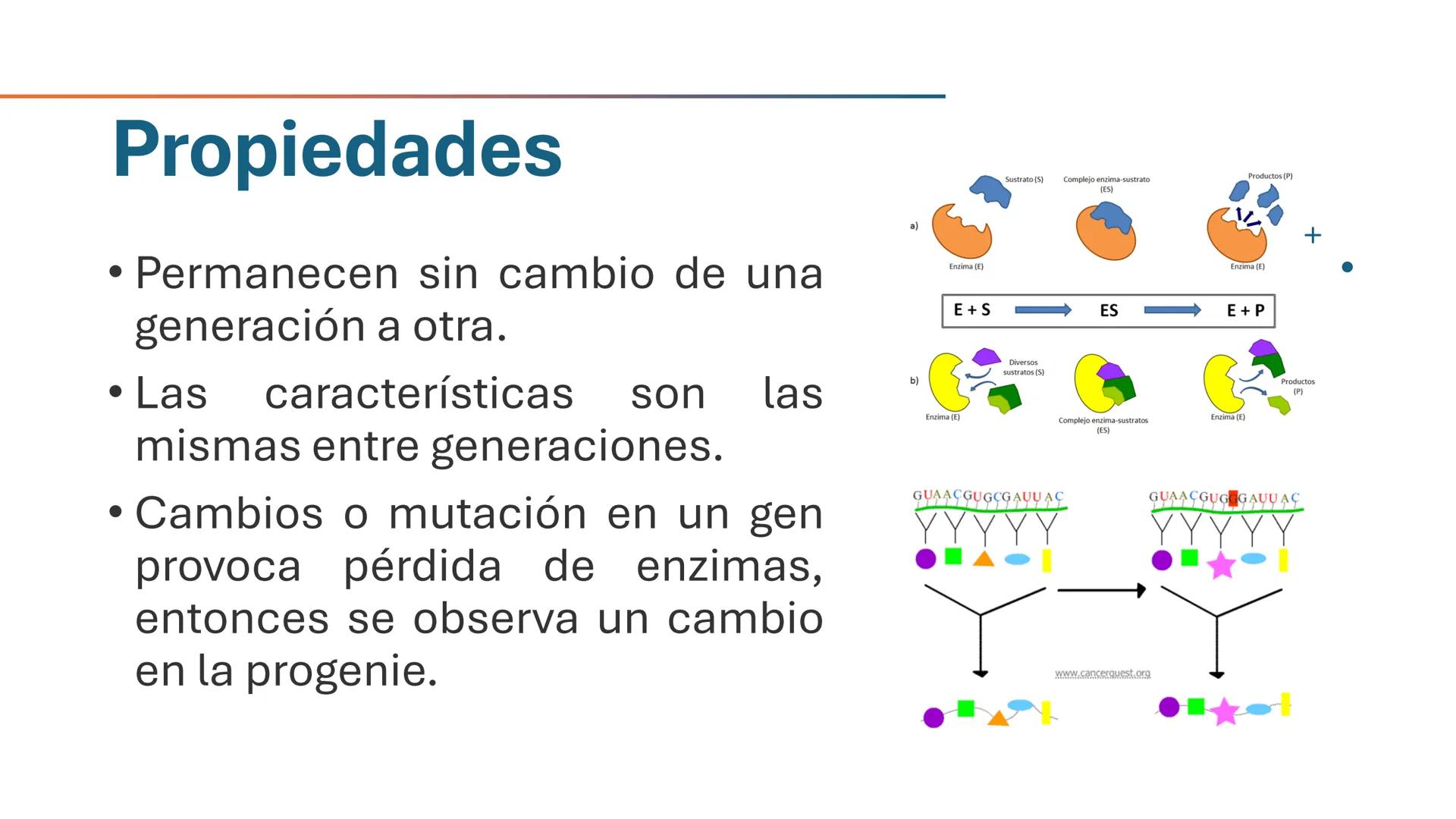 COS
UNIVERSIDAD DE LA COSTA
OAXACA
UNCOS
Universidad de la Costa
Facta non Verba
BIOQUÍMICA
BÁSICA
Licenciatura en Medicina Veterinaria y