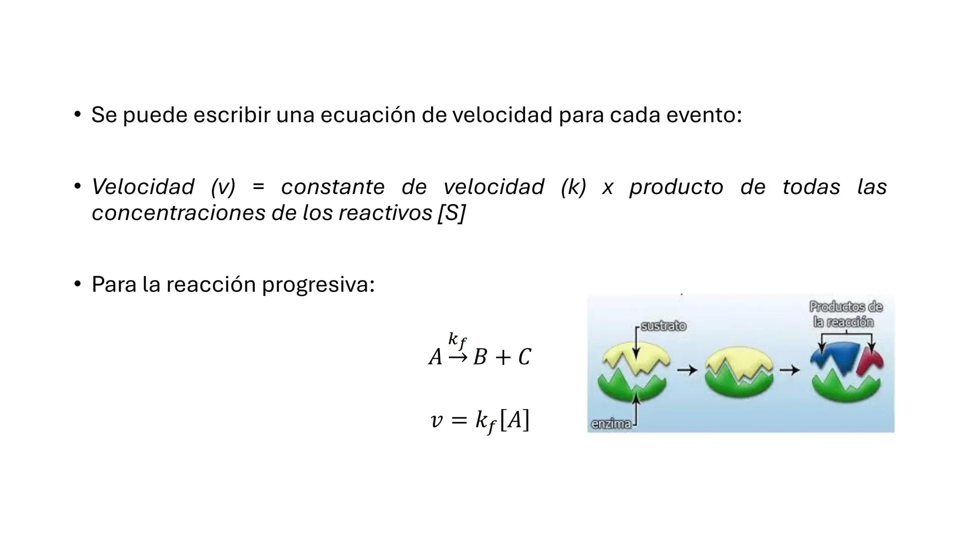 COS
UNIVERSIDAD DE LA COSTA
OAXACA
UNCOS
Universidad de la Costa
Facta non Verba
BIOQUÍMICA
BÁSICA
Licenciatura en Medicina Veterinaria y