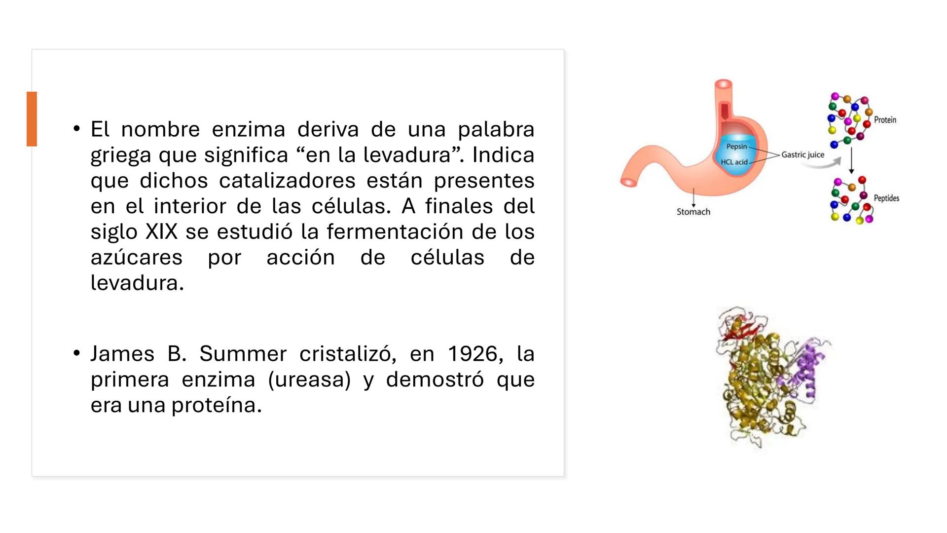 COS
UNIVERSIDAD DE LA COSTA
OAXACA
UNCOS
Universidad de la Costa
Facta non Verba
BIOQUÍMICA
BÁSICA
Licenciatura en Medicina Veterinaria y