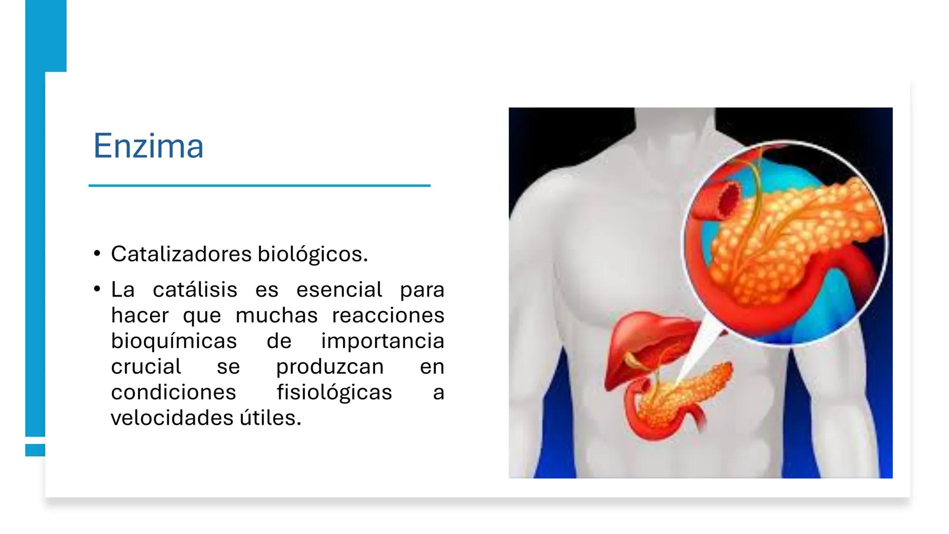 COS
UNIVERSIDAD DE LA COSTA
OAXACA
UNCOS
Universidad de la Costa
Facta non Verba
BIOQUÍMICA
BÁSICA
Licenciatura en Medicina Veterinaria y