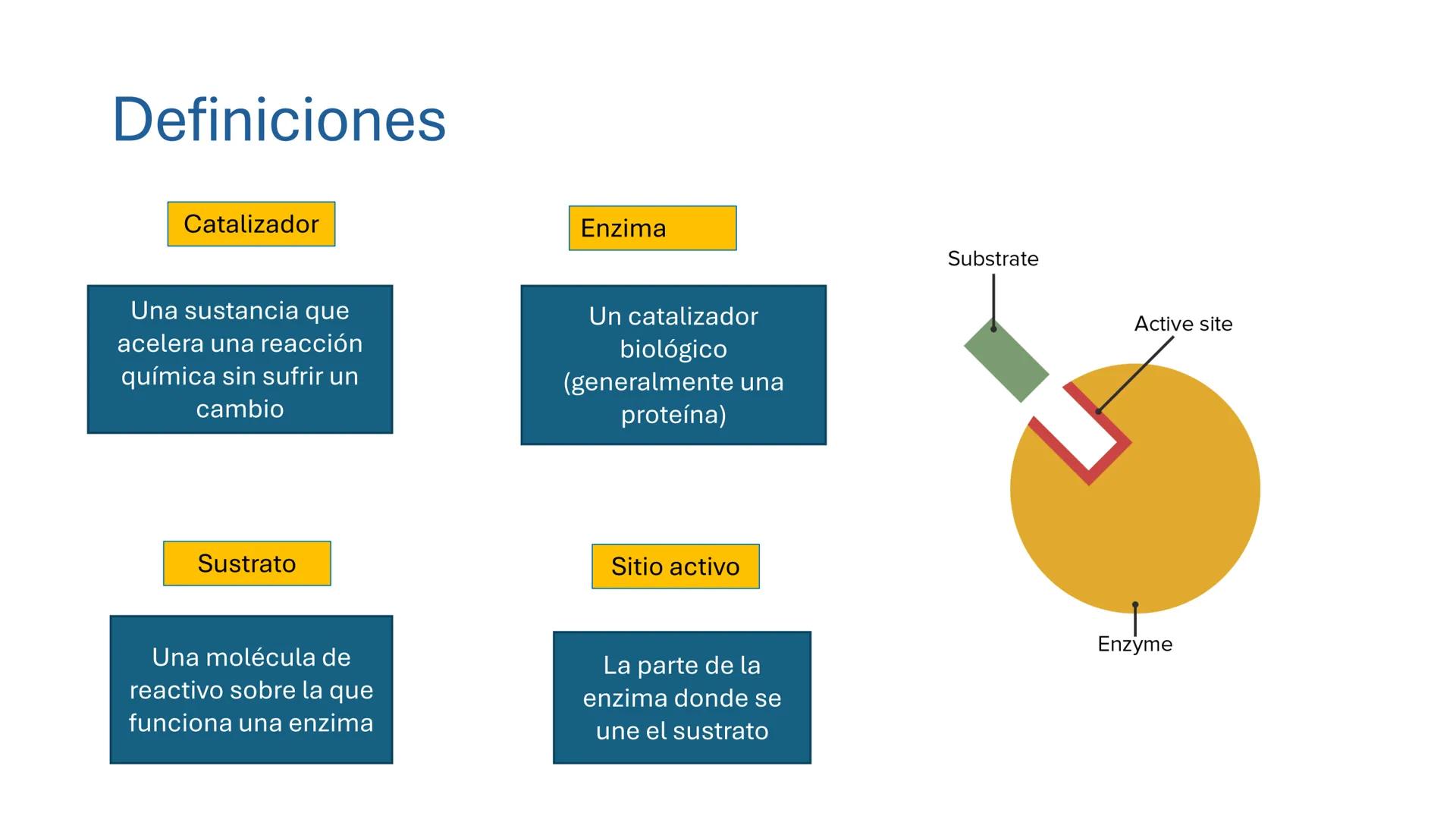 COS
UNIVERSIDAD DE LA COSTA
OAXACA
UNCOS
Universidad de la Costa
Facta non Verba
BIOQUÍMICA
BÁSICA
Licenciatura en Medicina Veterinaria y