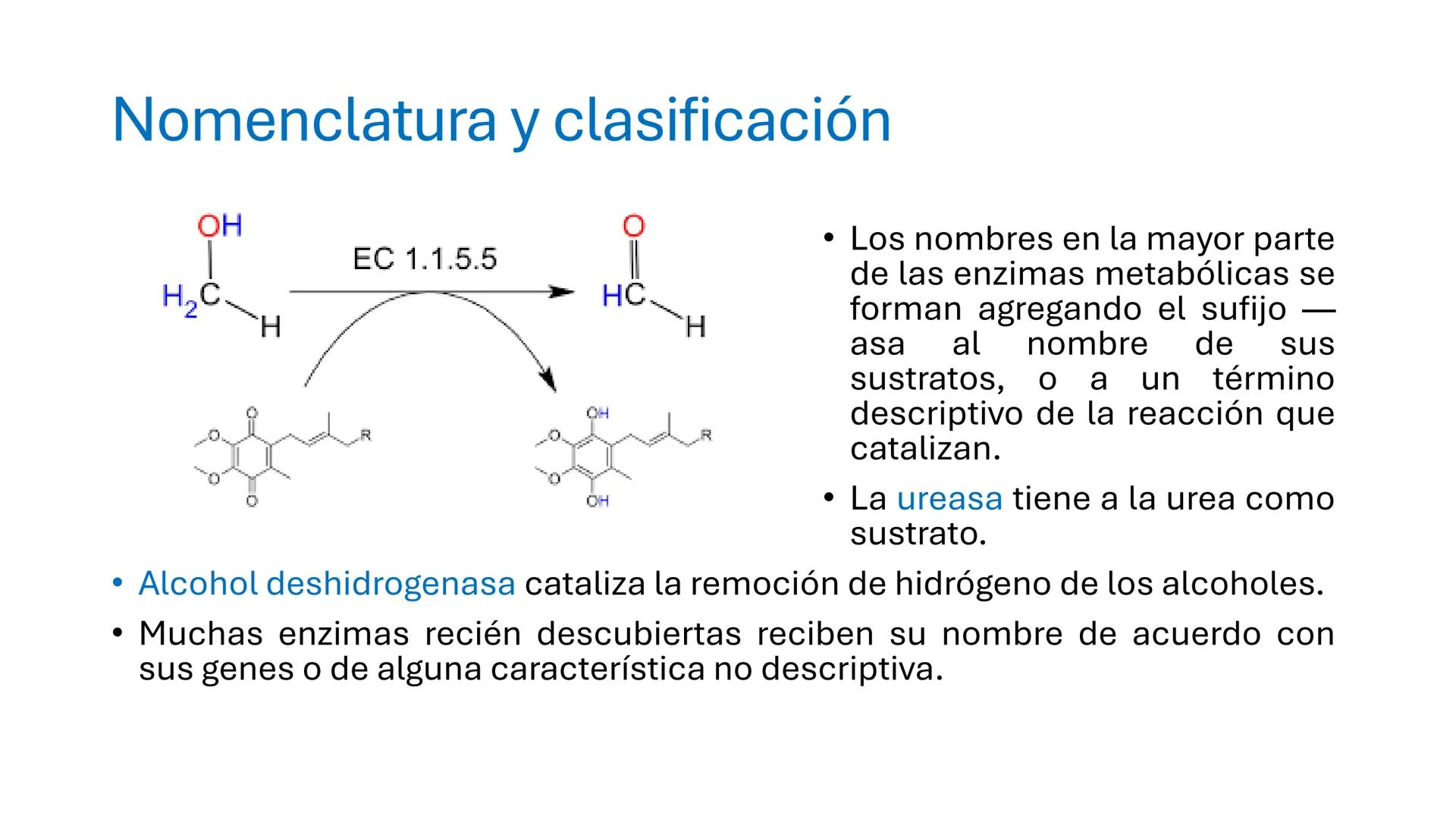 COS
UNIVERSIDAD DE LA COSTA
OAXACA
UNCOS
Universidad de la Costa
Facta non Verba
BIOQUÍMICA
BÁSICA
Licenciatura en Medicina Veterinaria y