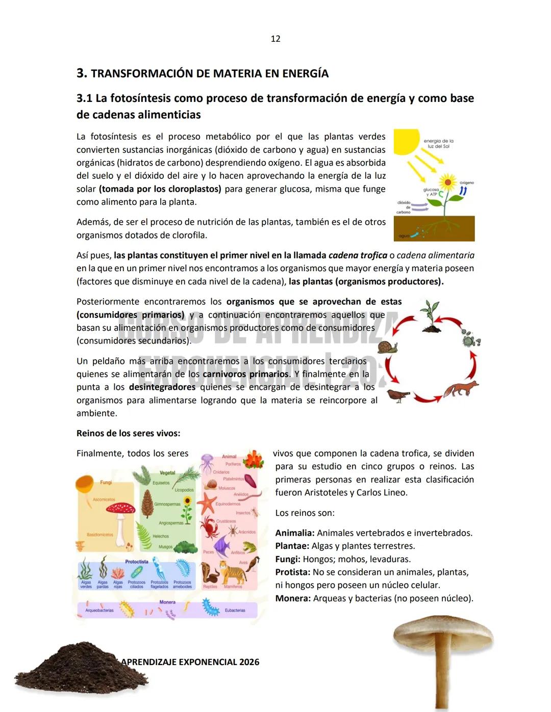 TEMARIO RESUELTO E ILUSTRADO PARA EL INGRESO A NIVEL MEDIO SUPERIOR
PRE-
ECOEMS
2026
CURSO DE APRENDIZAJE EXPONENCIAL 2026 2
CURSO DE APR